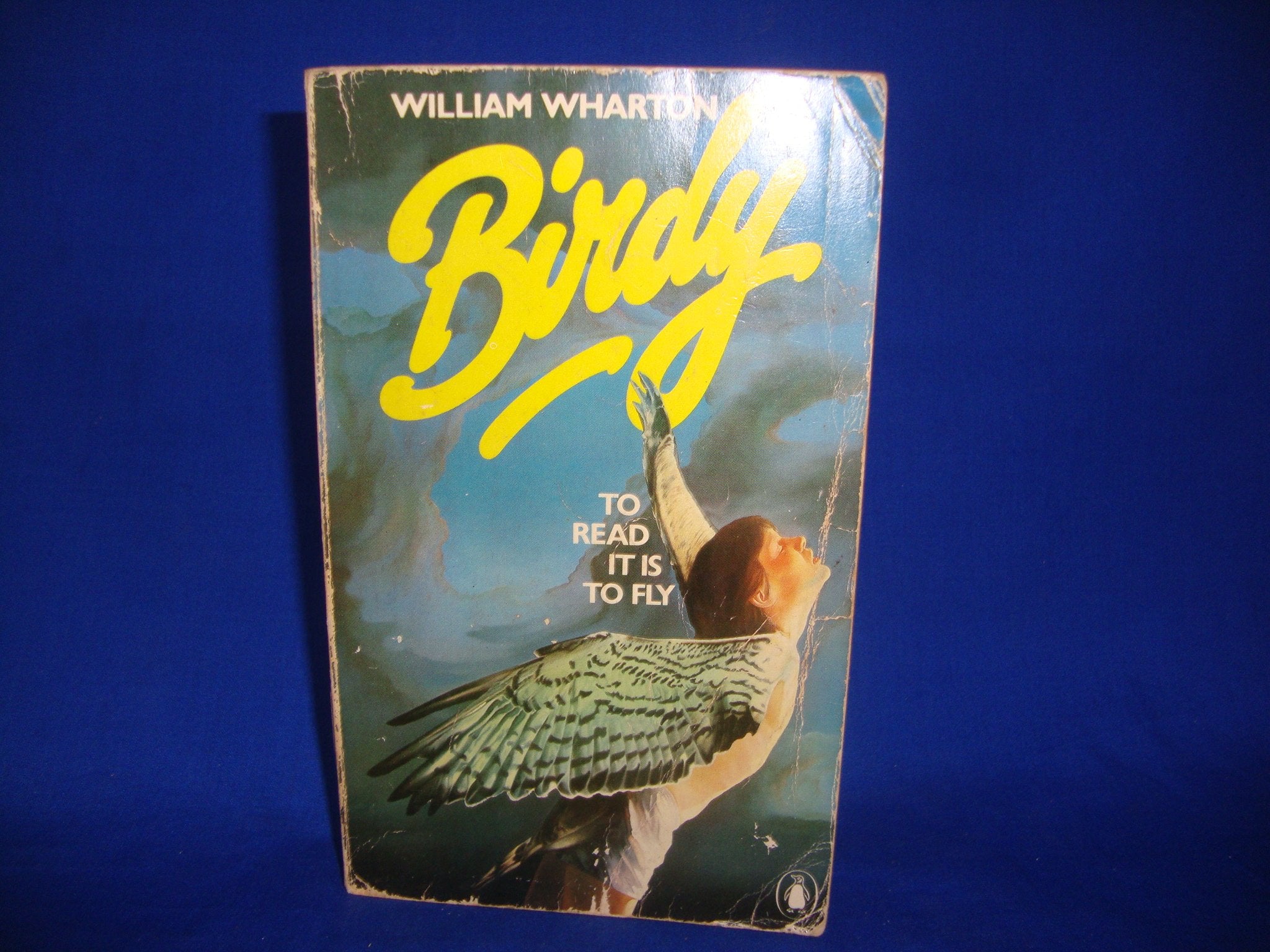 Birdy. An extraordinary novel 9780140053548