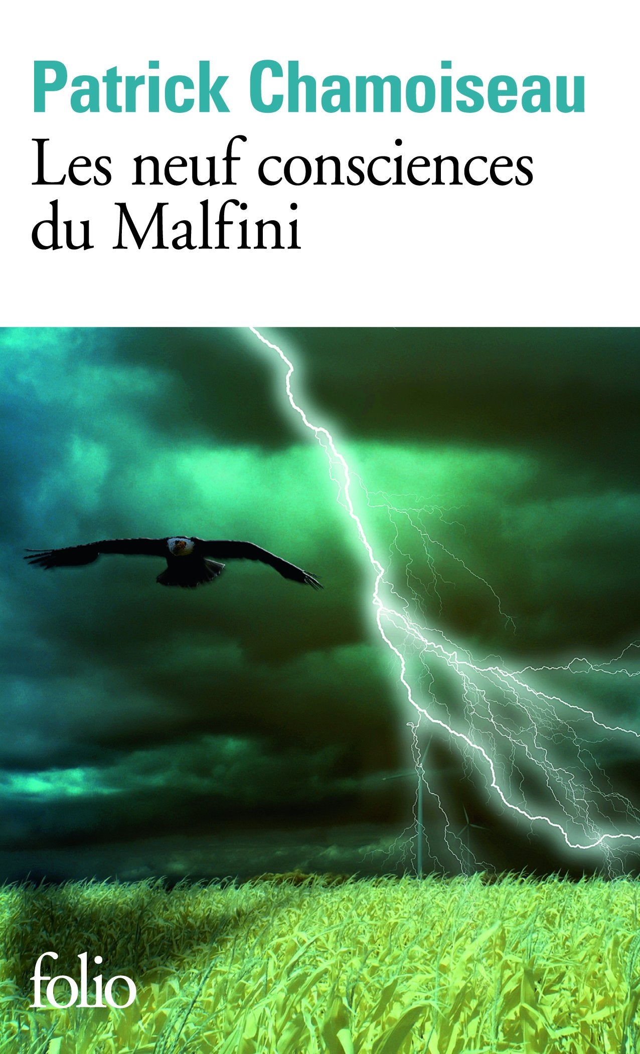 Les neuf consciences du Malfini 9782070438020