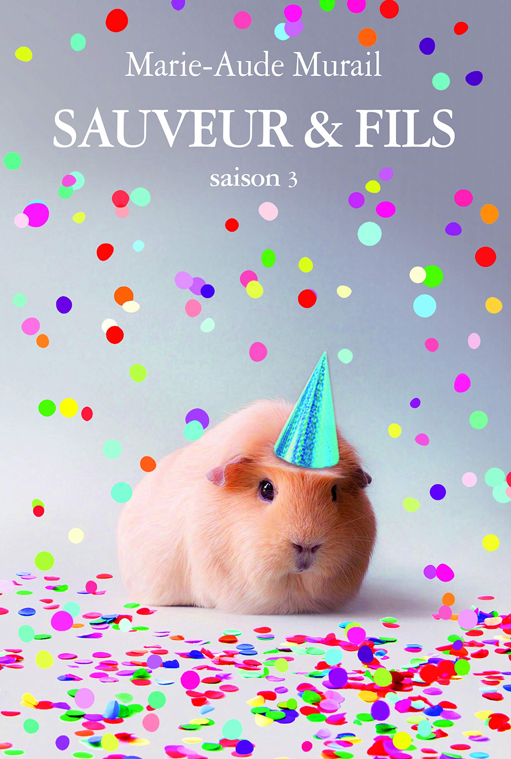 SAUVEUR & FILS SAISON 3 GRAND FORMAT 9782211232395