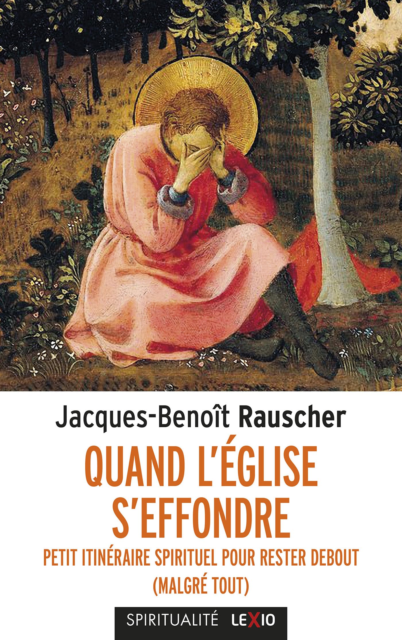 Quand l'Église s'effondre: Petit itinéraire spirituel pour rester debout (malgré tout) 9782204173360