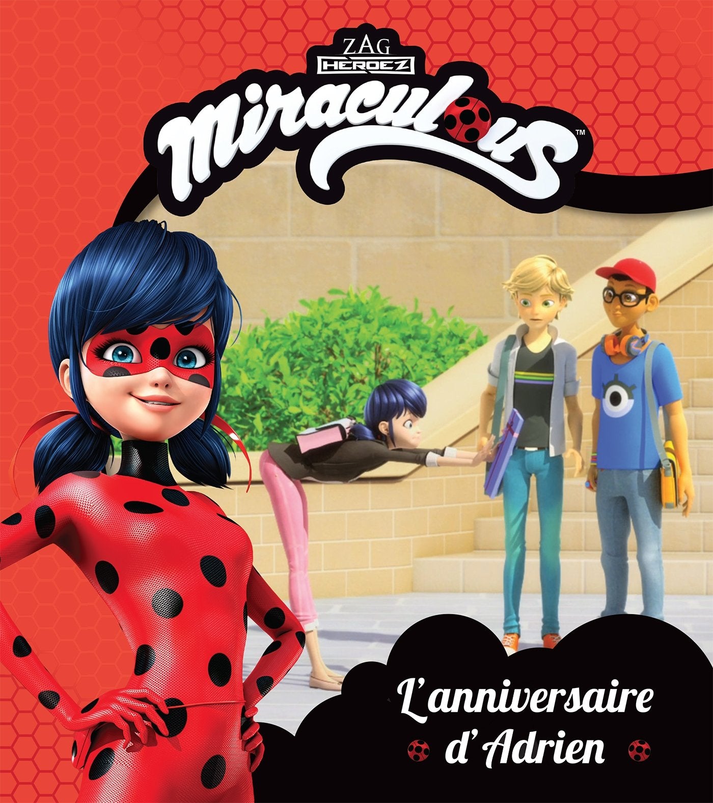 Miraculous - RC - L'anniversaire d'Adrien 9782017019817