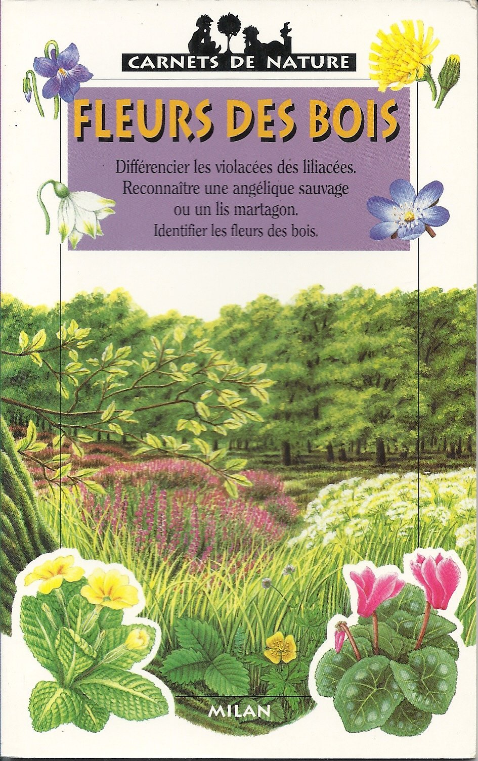 Fleurs des bois 9782841134014