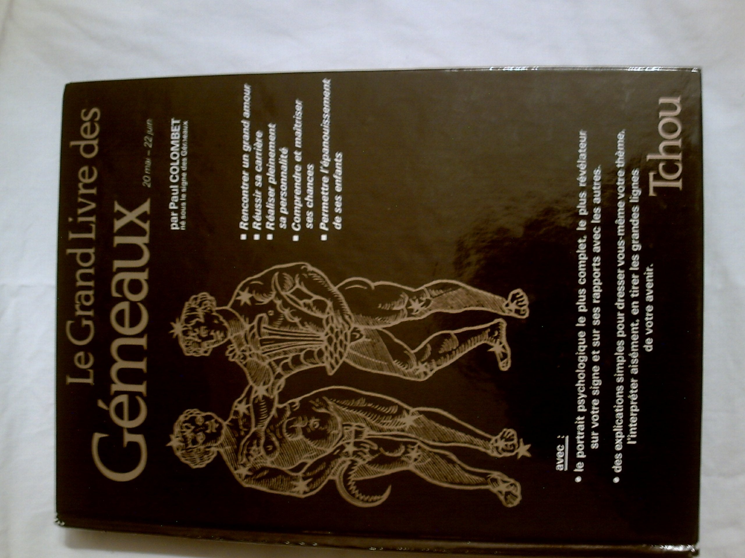 GRAND LIVRE DES GEMEAUX 9782710703419