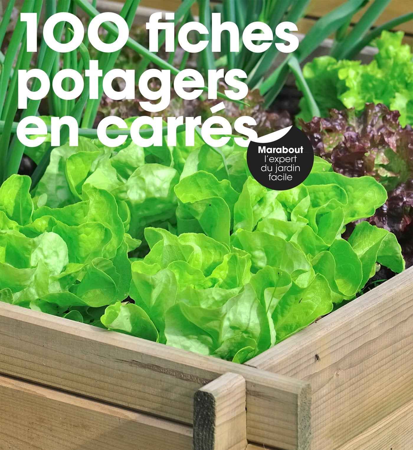 100 fiches potagers en carrés 9782501120456