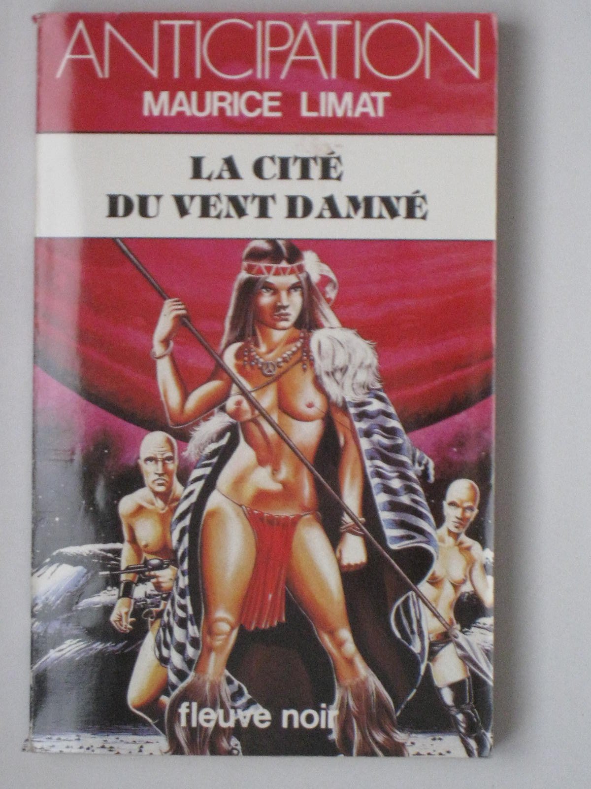 La cité du vent damné 9782265030213