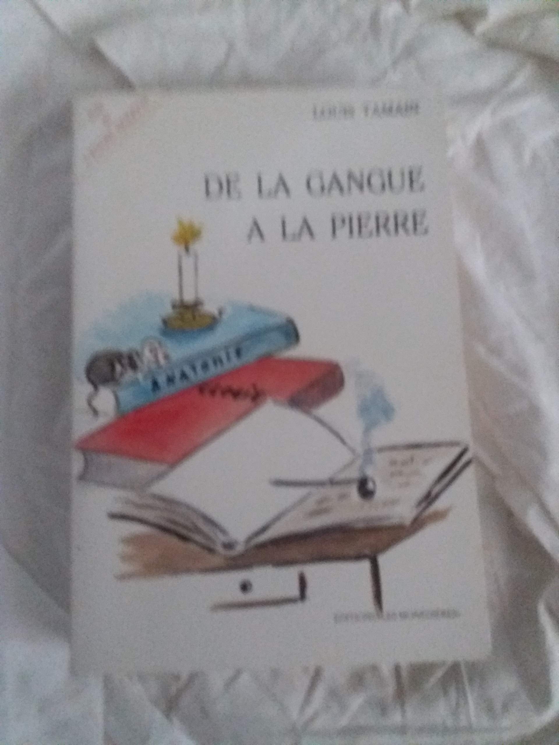 De la gangue à la pierre 9782950755377