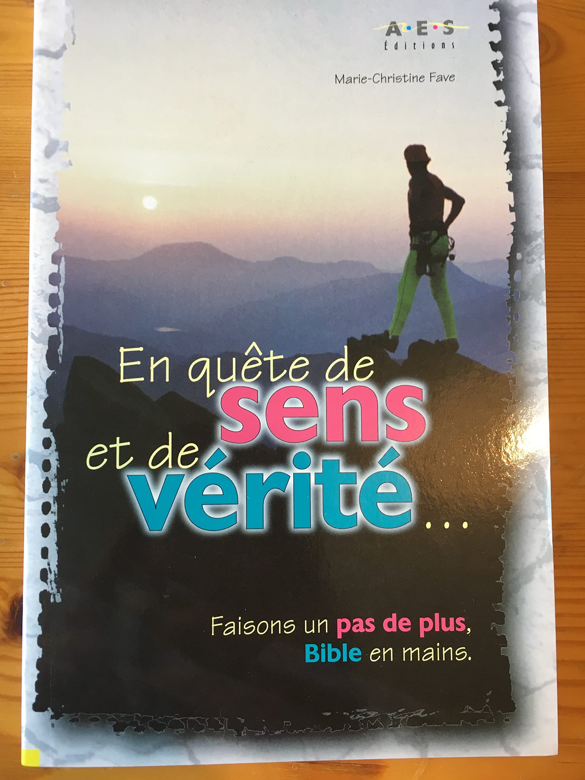 En quête de sens et de vérité 9782910246167