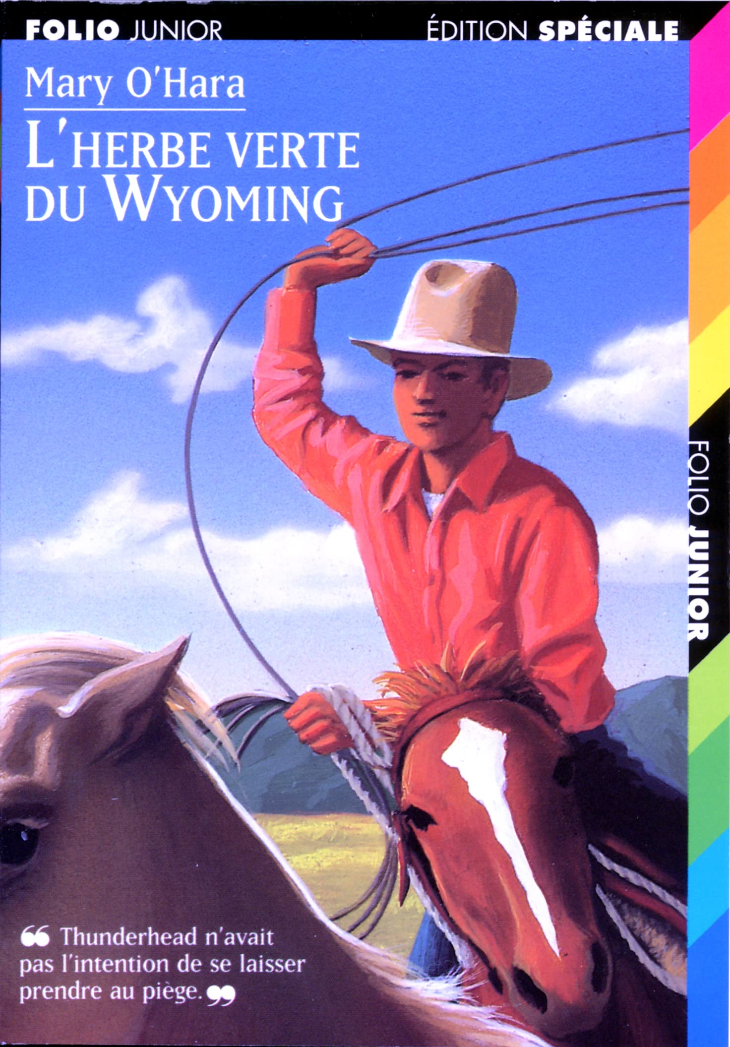 L'HERBE VERTE DU WYOMING 9782070514120