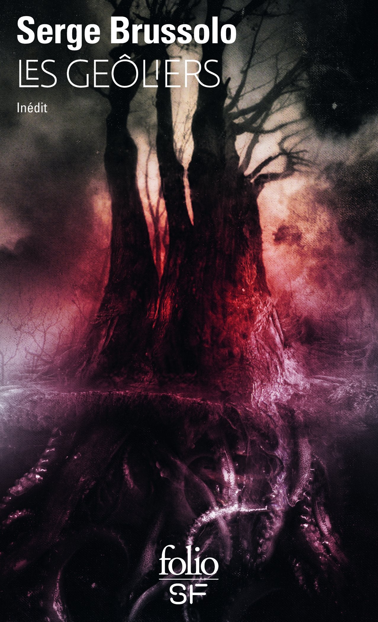 Les Geôliers 9782070771486