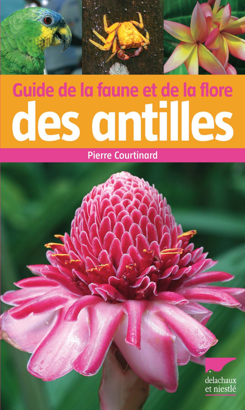 Guide de la faune et de la flore des Antilles 9782603015148