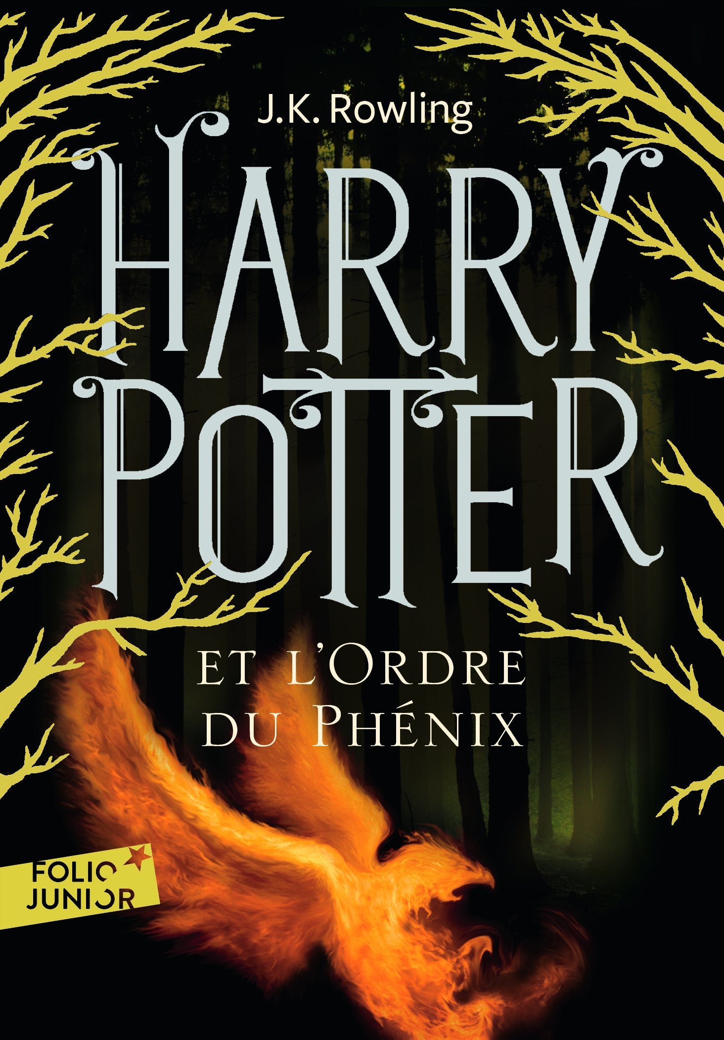 Harry Potter, V : Harry Potter et l'Ordre du Phénix 9782070643066