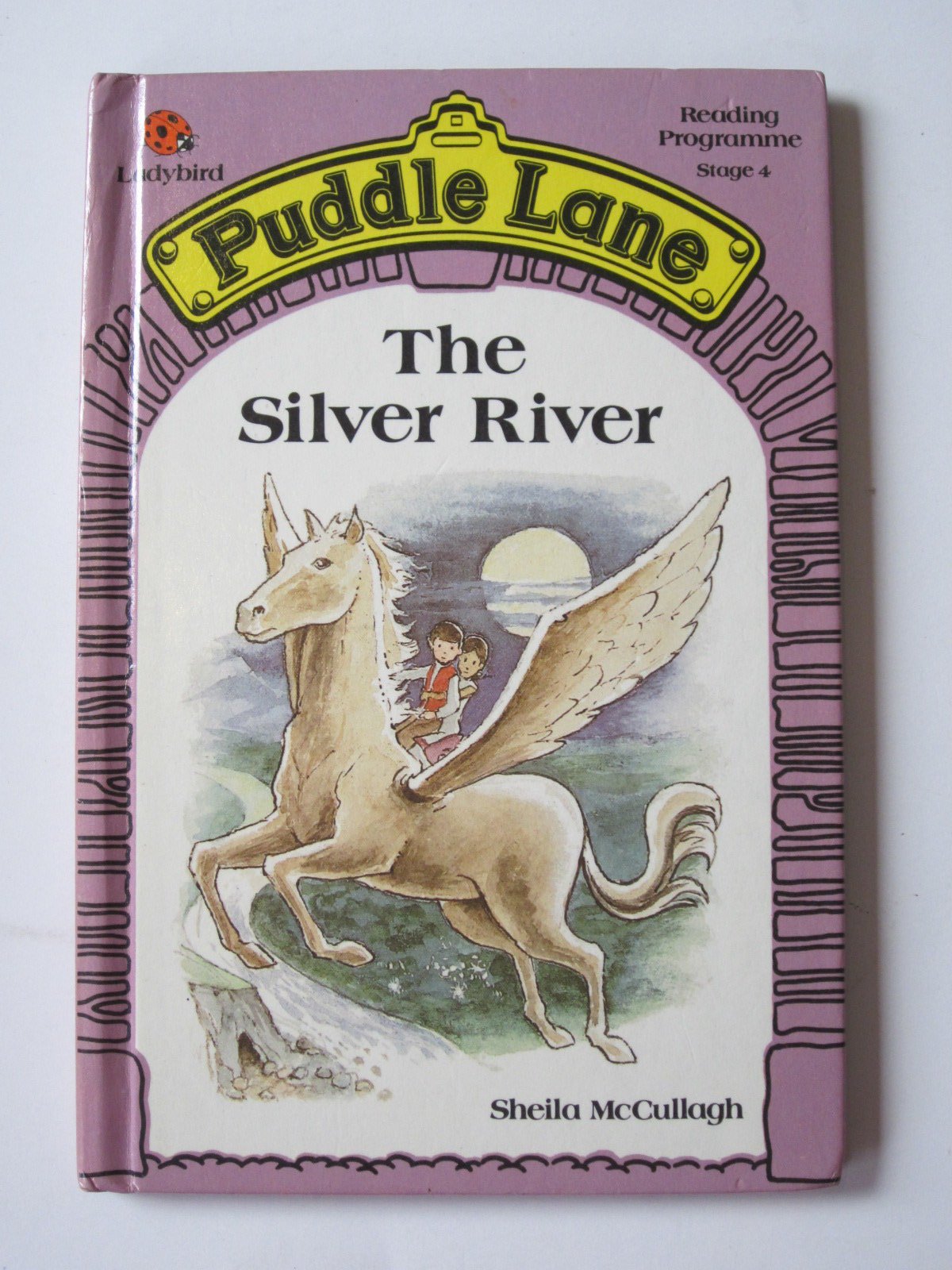 The Silver River 9780721409702