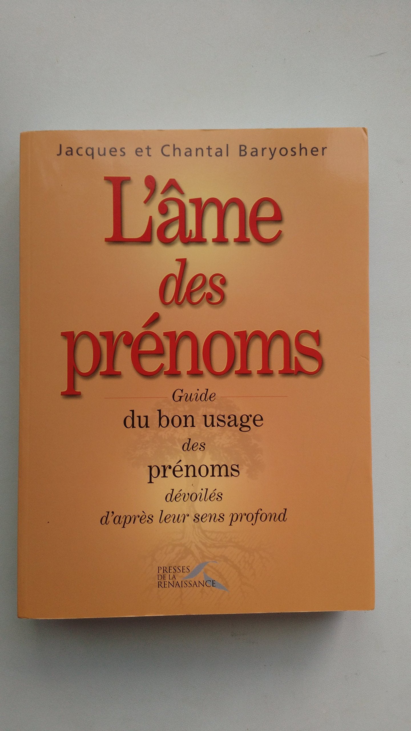 L'âme des prénoms 9782856167786