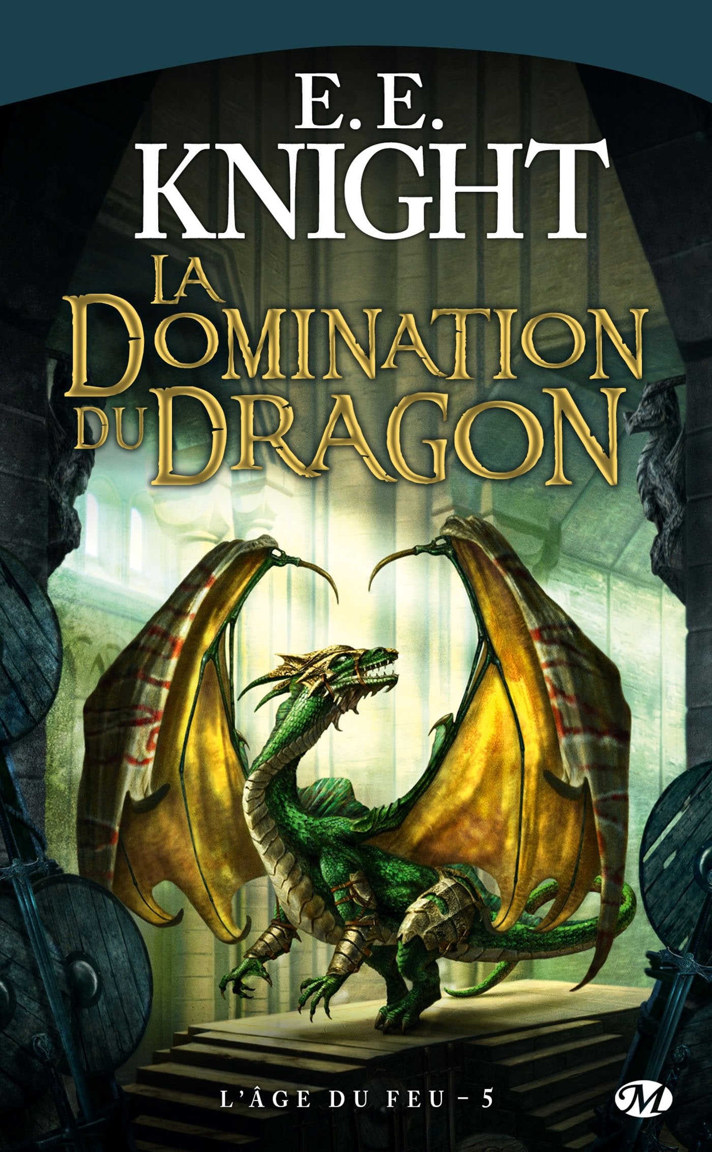 L'Âge du Feu, tome 5 : La Domination du dragon 9782811204242