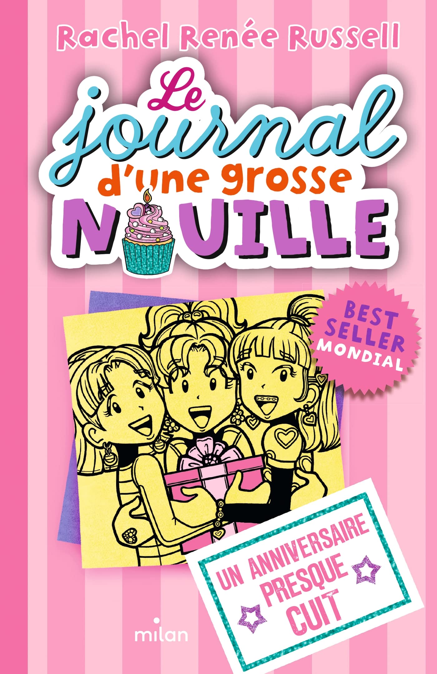Le journal d'une grosse nouille, Tome 13: Un anniversaire presque cuit 9782408006471