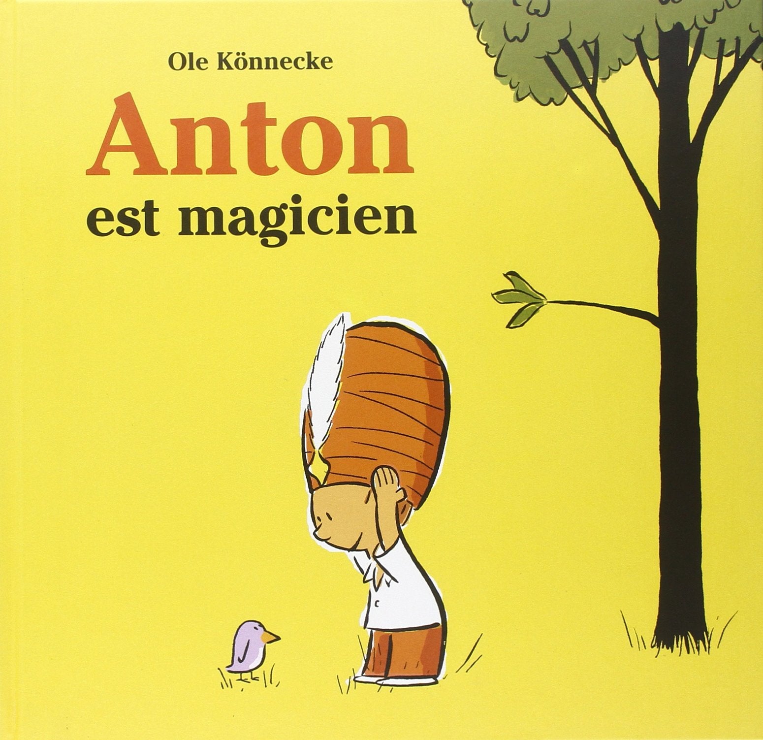 anton est magicien 9782211083454