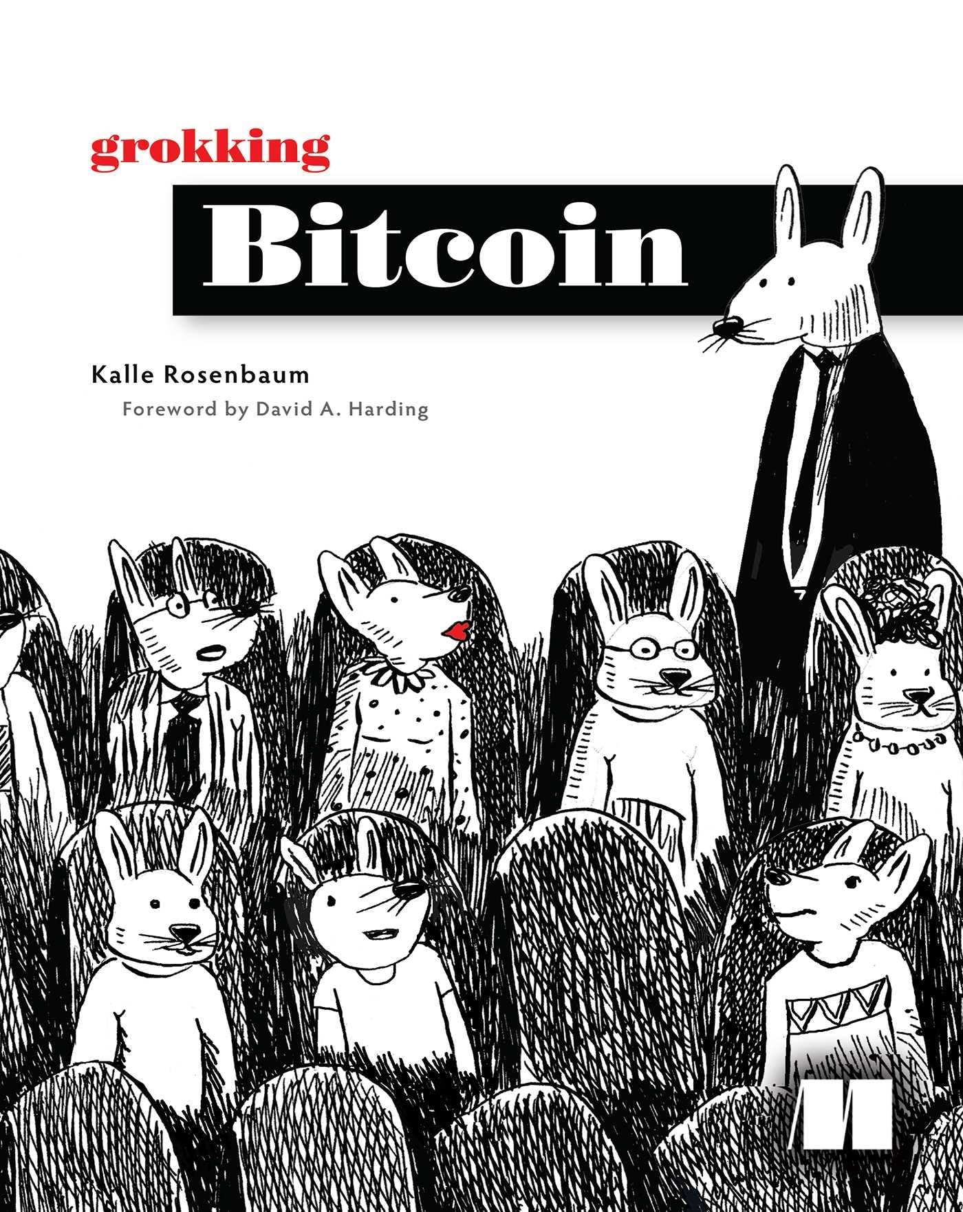 Grokking Bitcoin 9781617294648