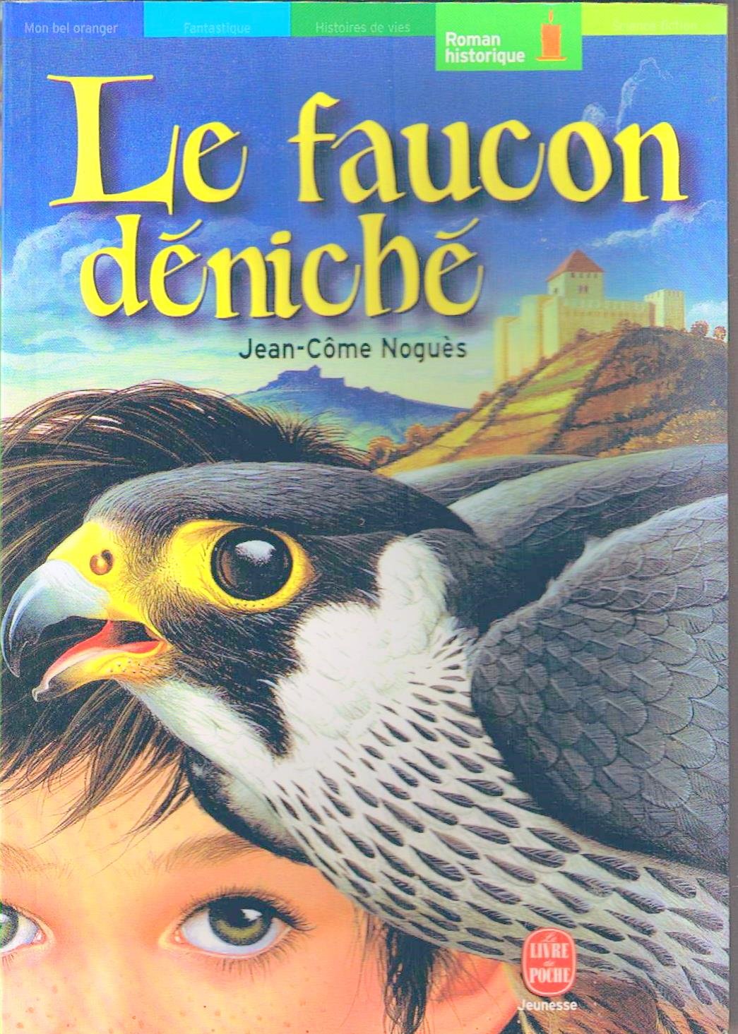 Le Faucon déniché 9782013218764