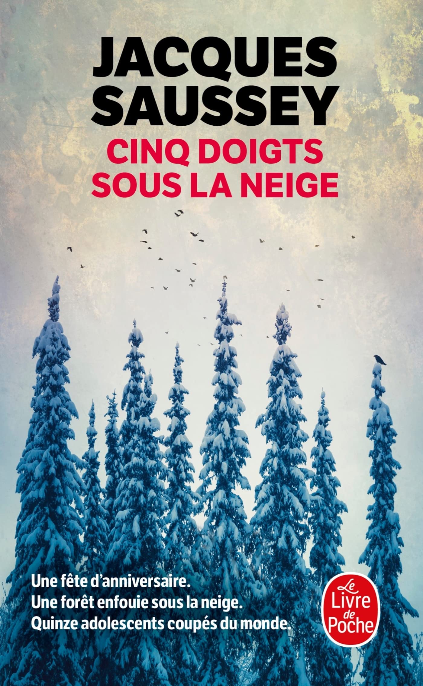 Cinq doigts sous la neige 9782253107682