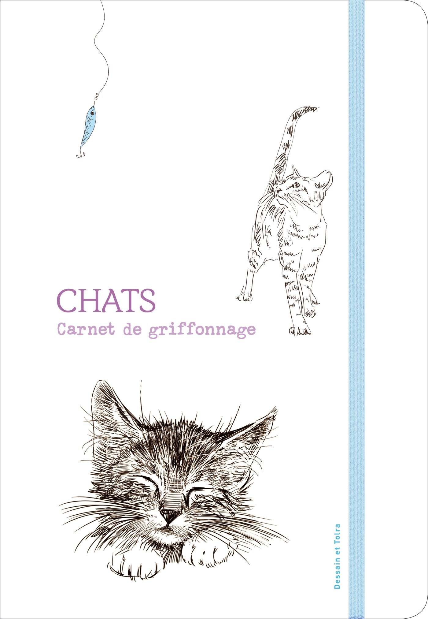 Carnet de griffonnage chats 9782295005595