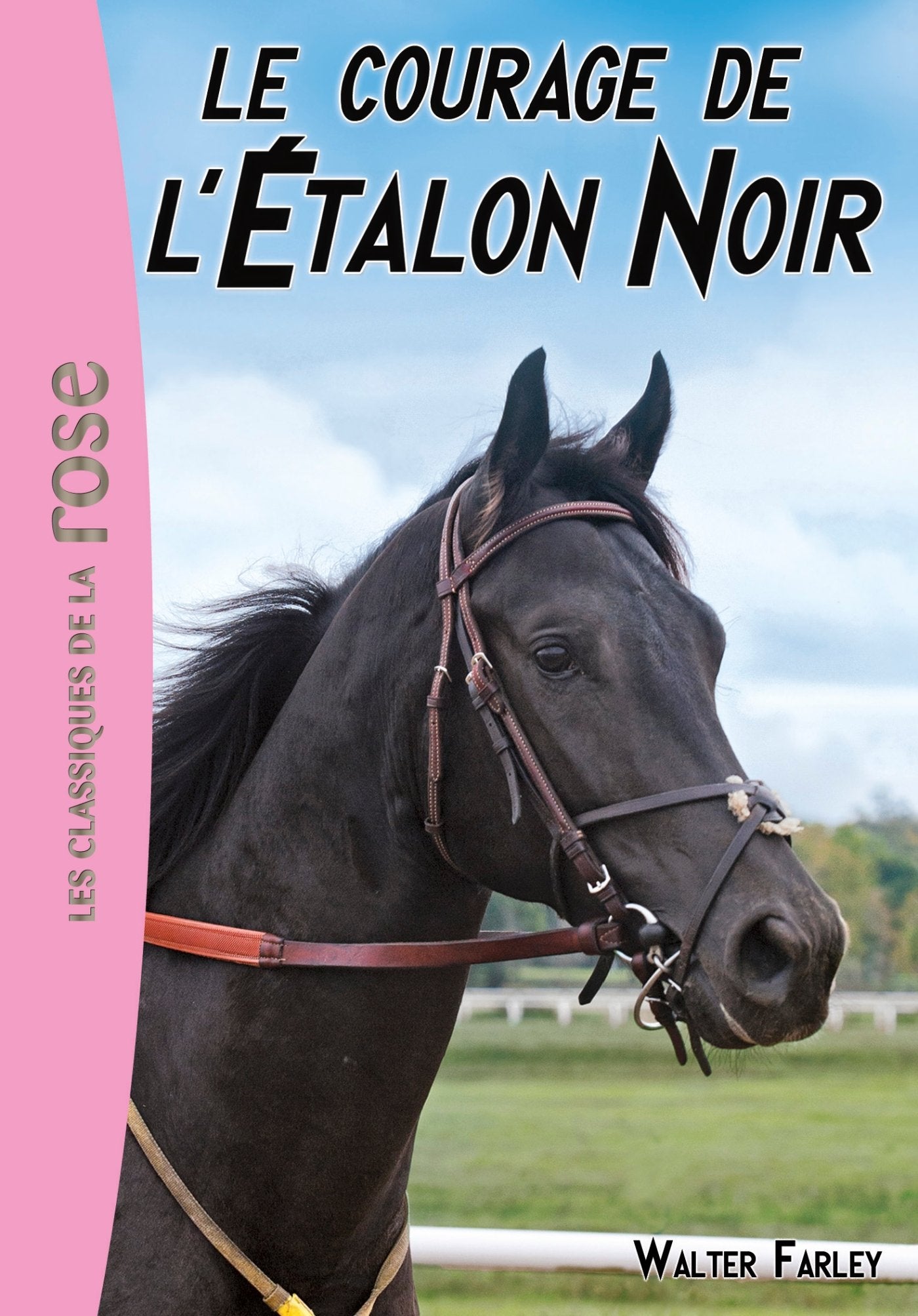 L'Étalon Noir 13 - Le courage de l'Etalon Noir 9782012044043