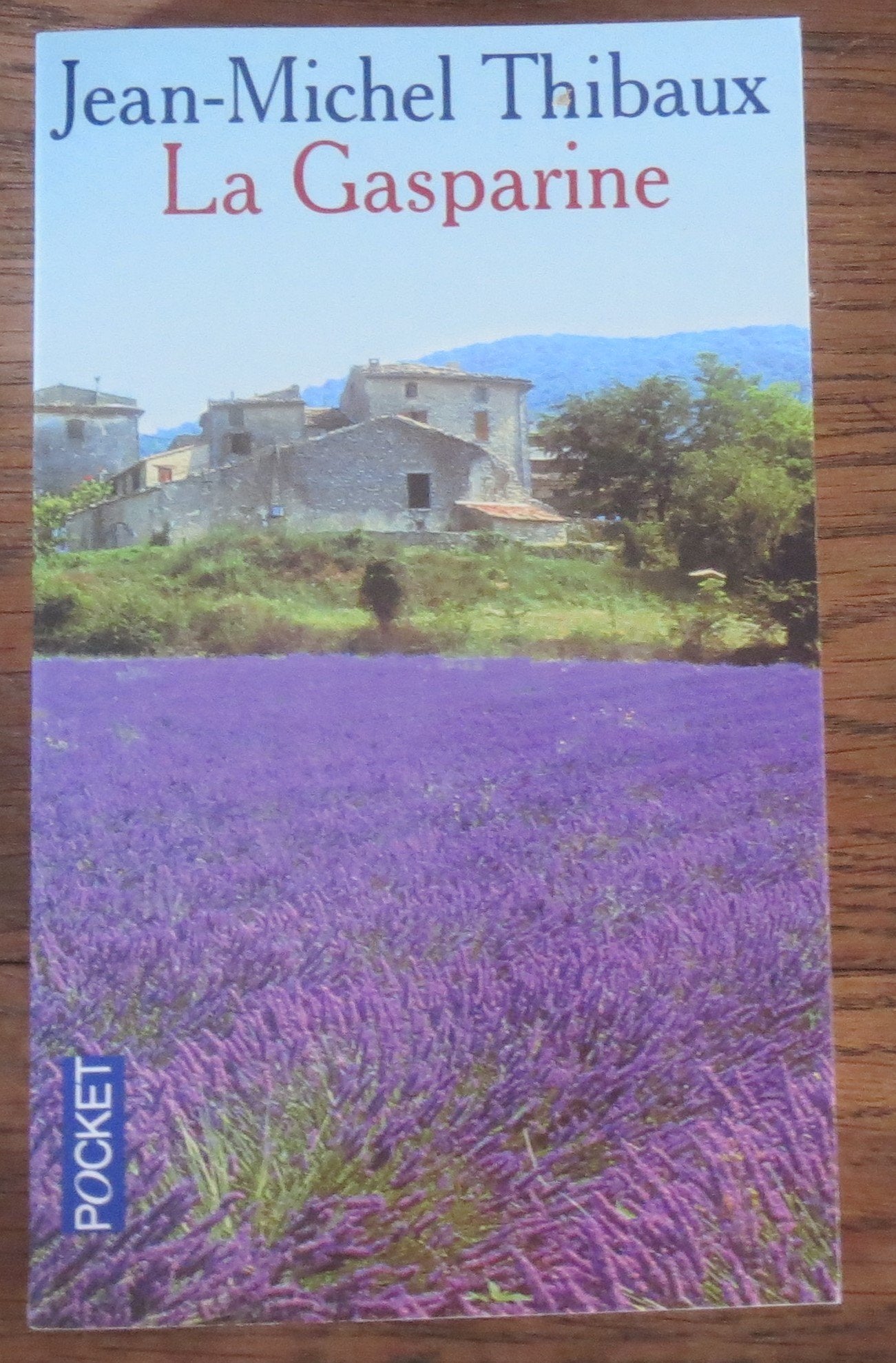 La Gasparine 9782266112857