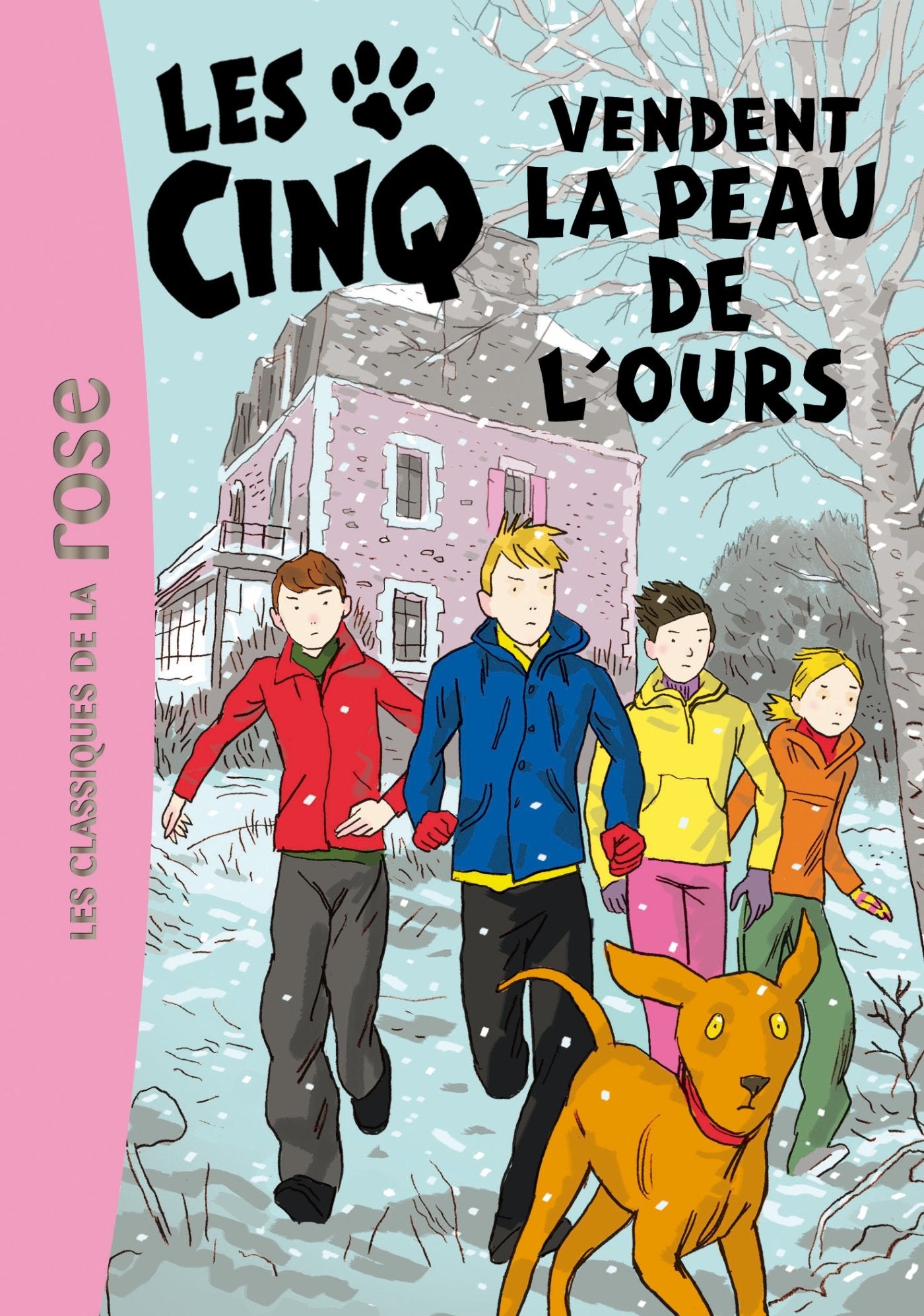 Les Cinq 33 - Les Cinq vendent la peau de l'ours 9782012039667