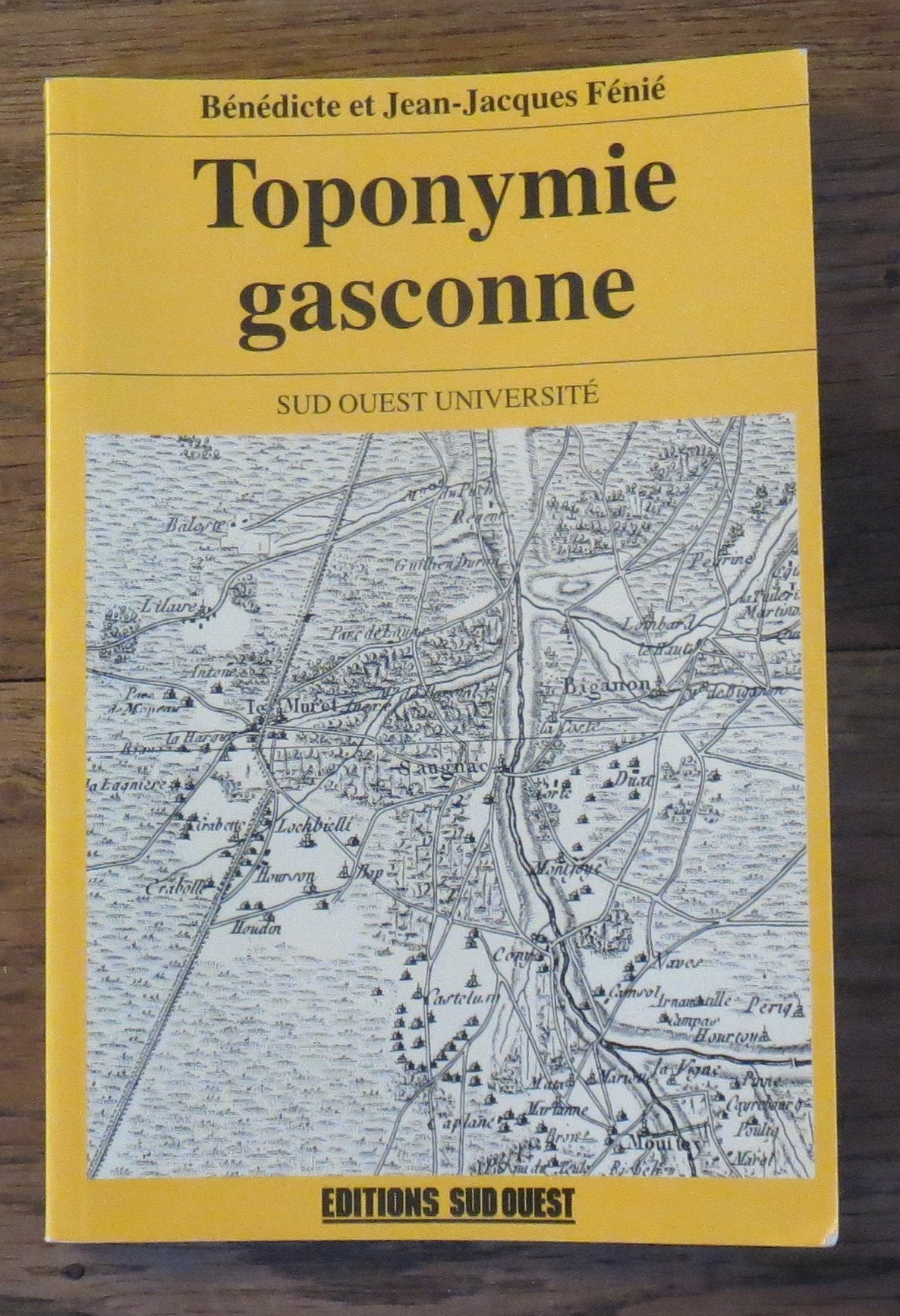 Aed Toponymie Gasconne 9782879010939