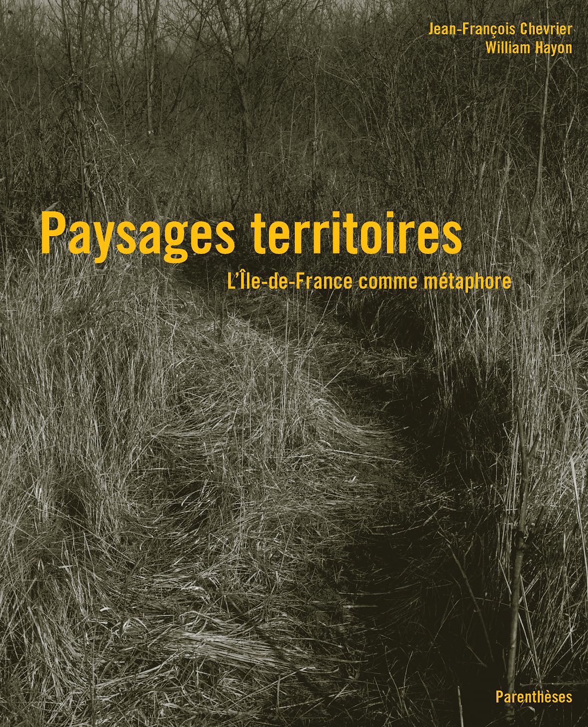 Paysages territoires.: L'Ile-de-France comme métaphore 9782863641132