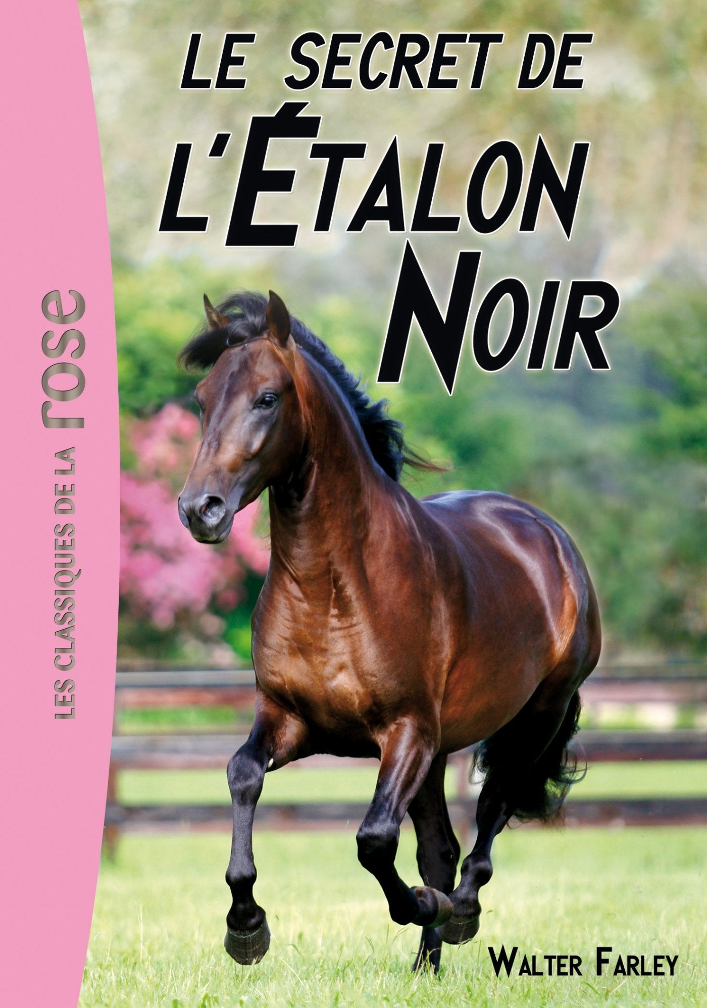 L'Étalon Noir 09 - Le secret de l'Étalon Noir 9782012027879
