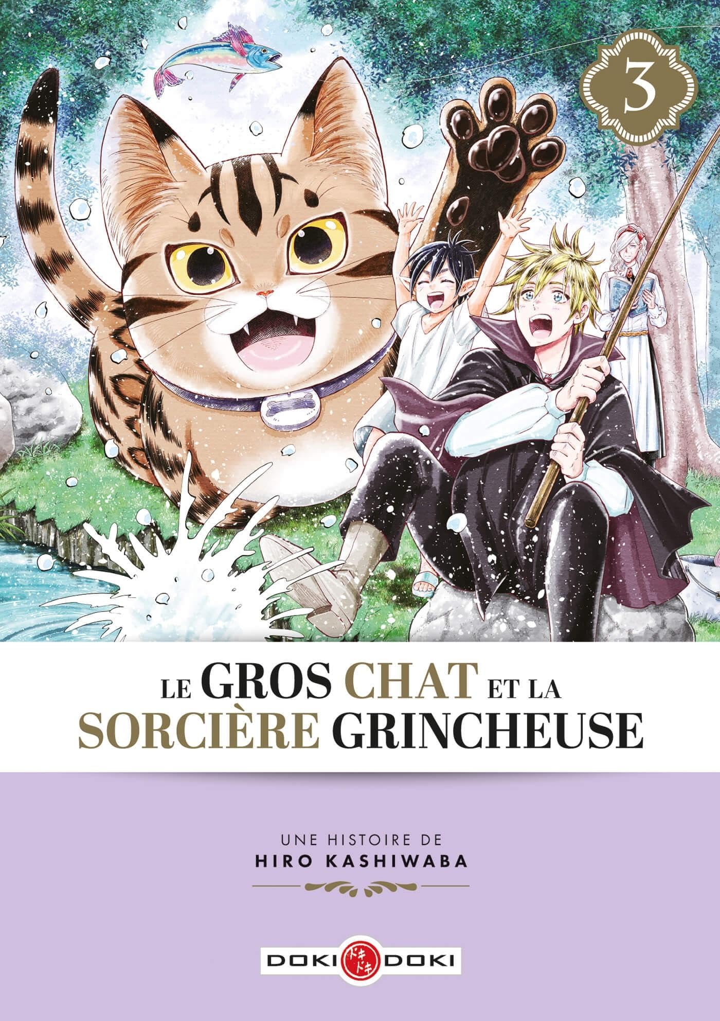 Le Gros Chat et la Sorcière grincheuse - vol. 03 9791041104208