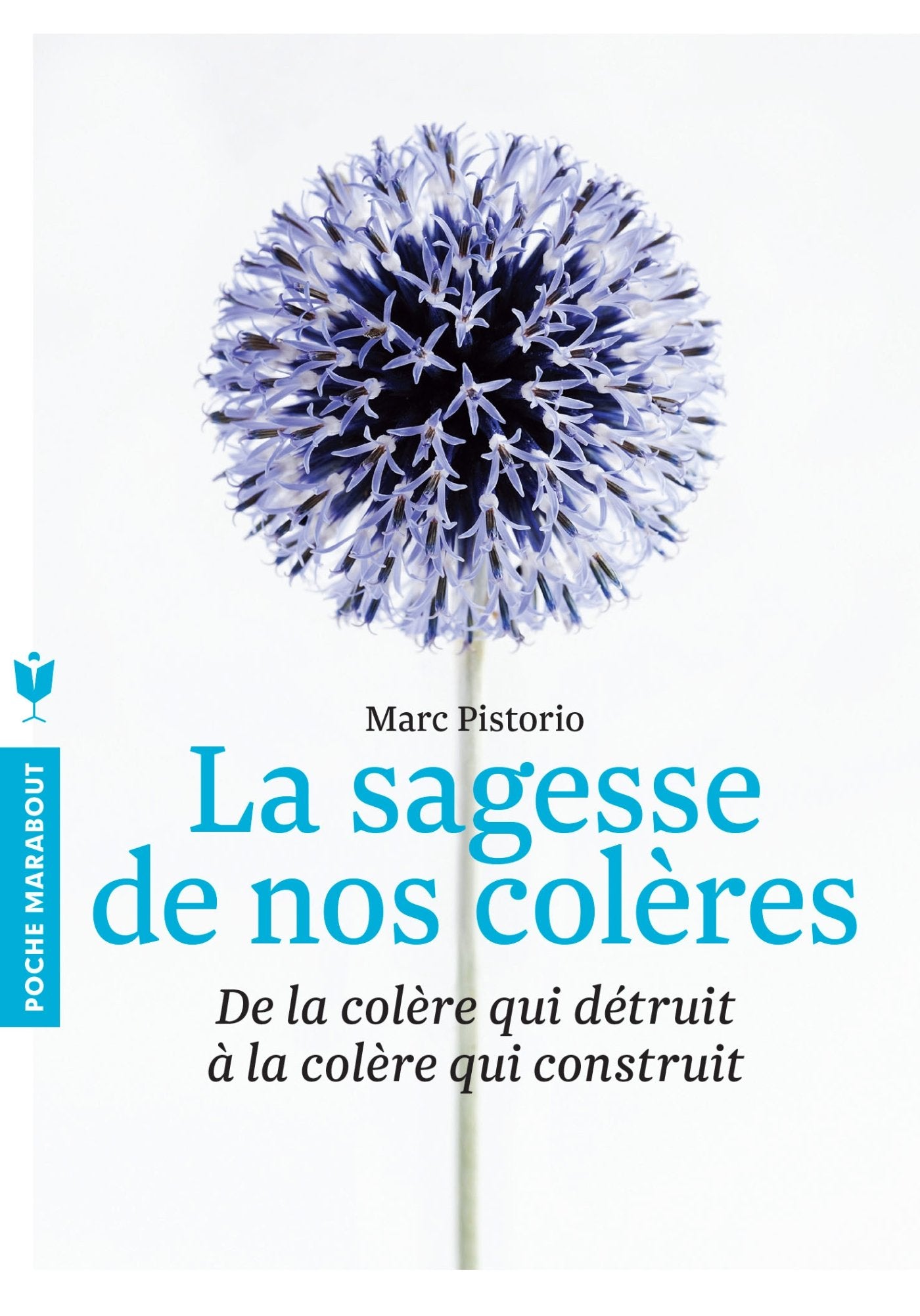 La sagesse de nos colères: De la colère qui détruit à la colère qui construit 9782501074728