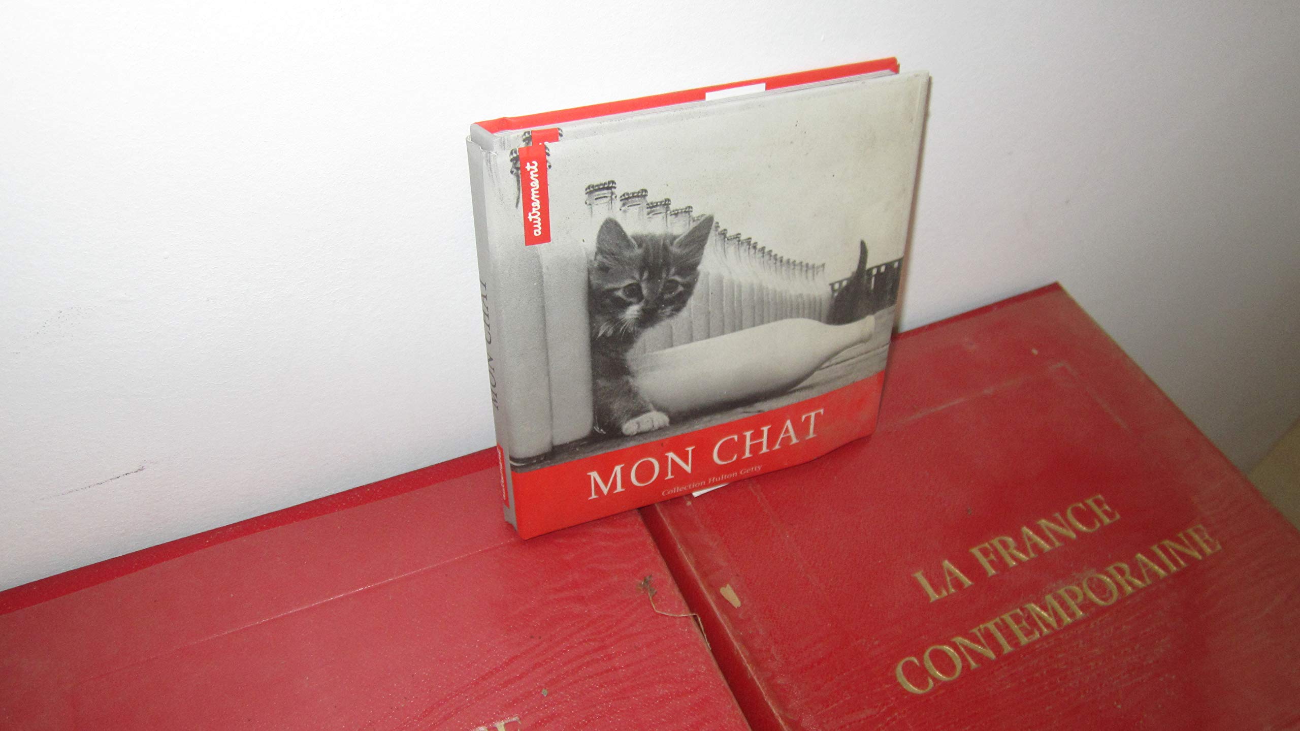 Mon chat 9782746702769