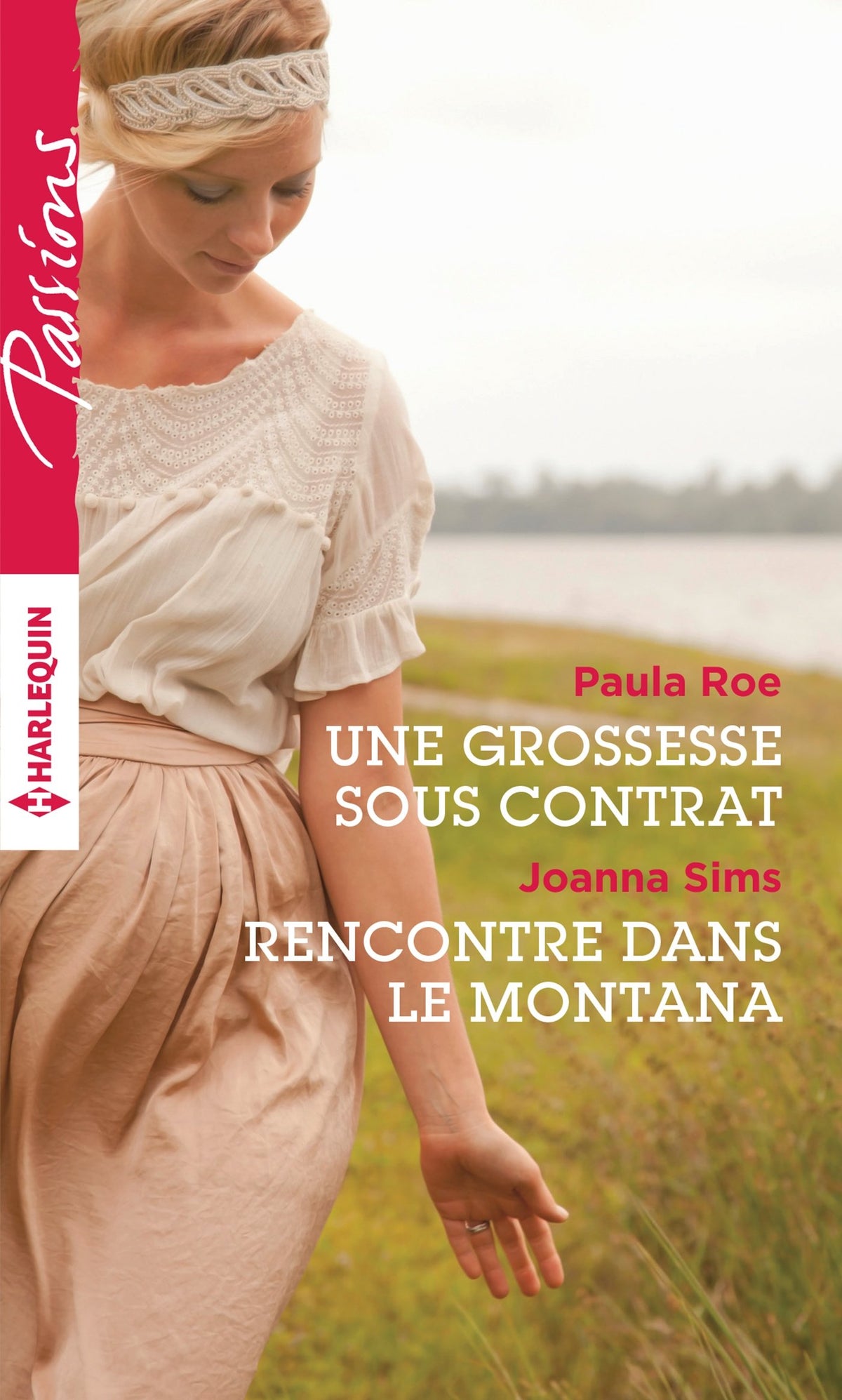 Une grossesse sous contrat ; Rencontre dans le Montana 9782280348614