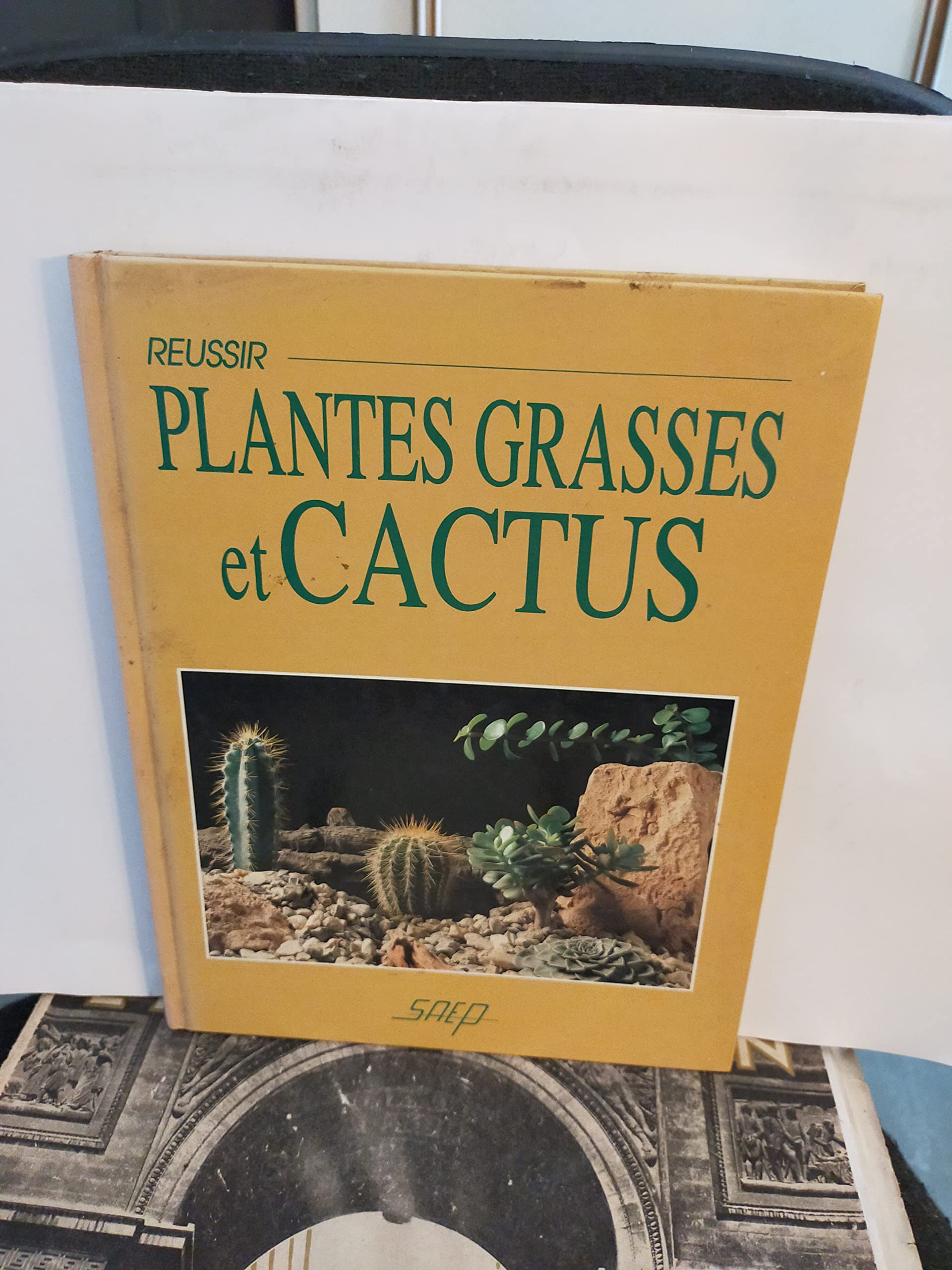 Réussir plantes grasses et cactus 9782737232053