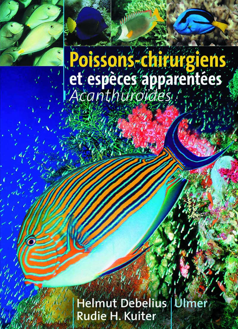 Poissons-chirurgiens et espèces apparentées : Acanthuroïdes 9782841381630