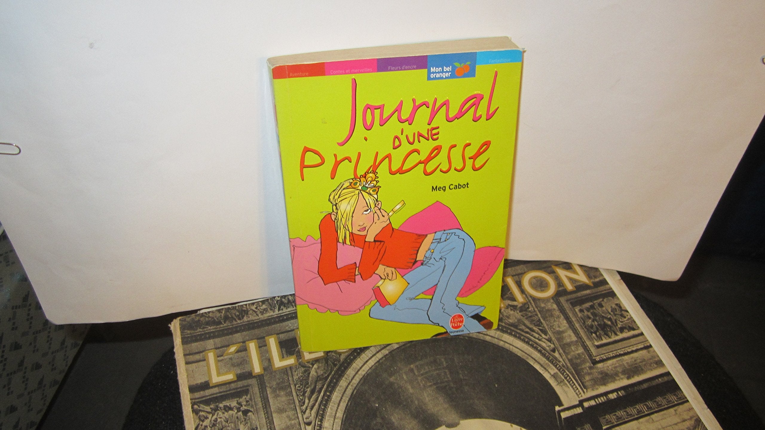 Journal d'une Princesse 9782013218535