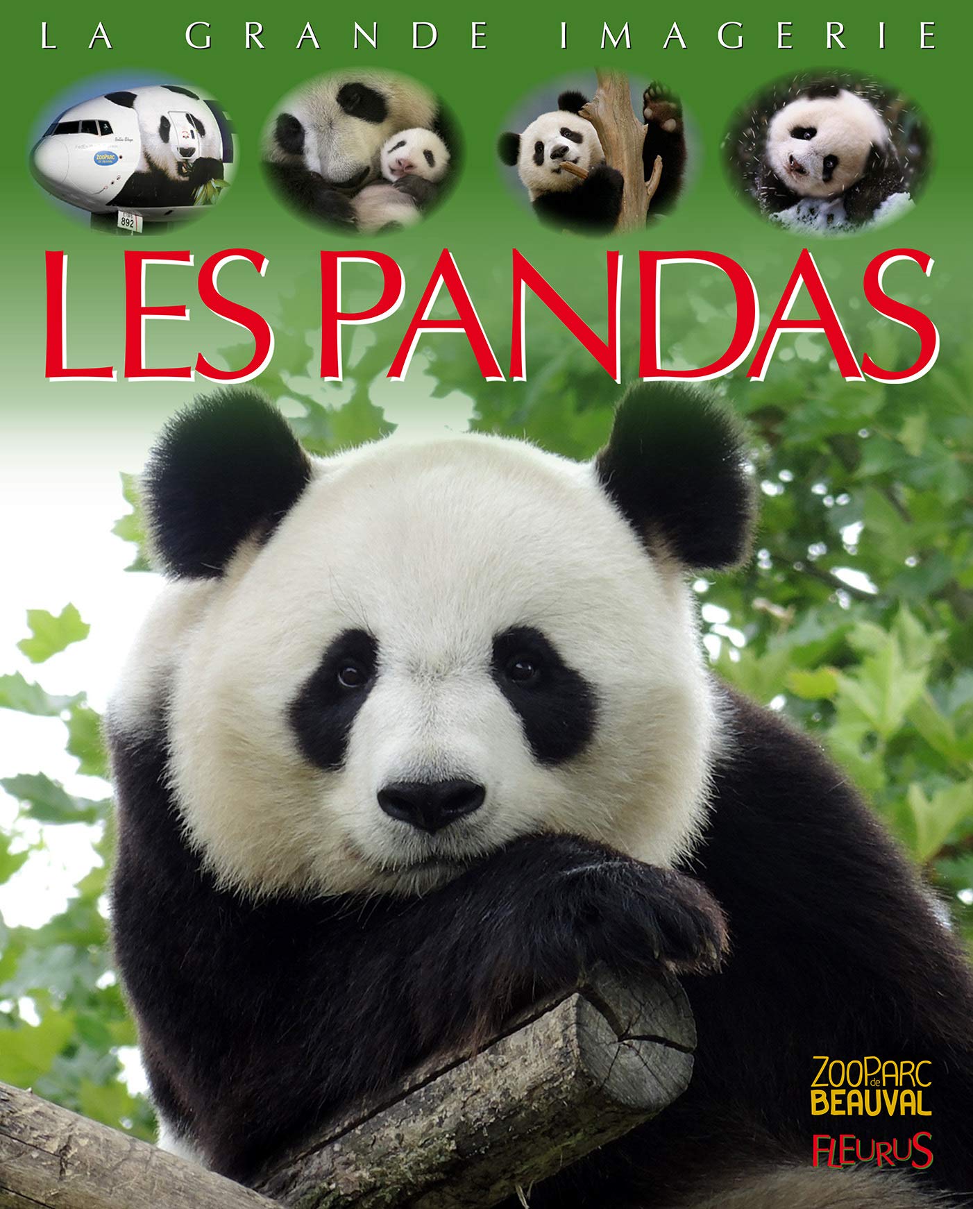 Les pandas 9782215161721