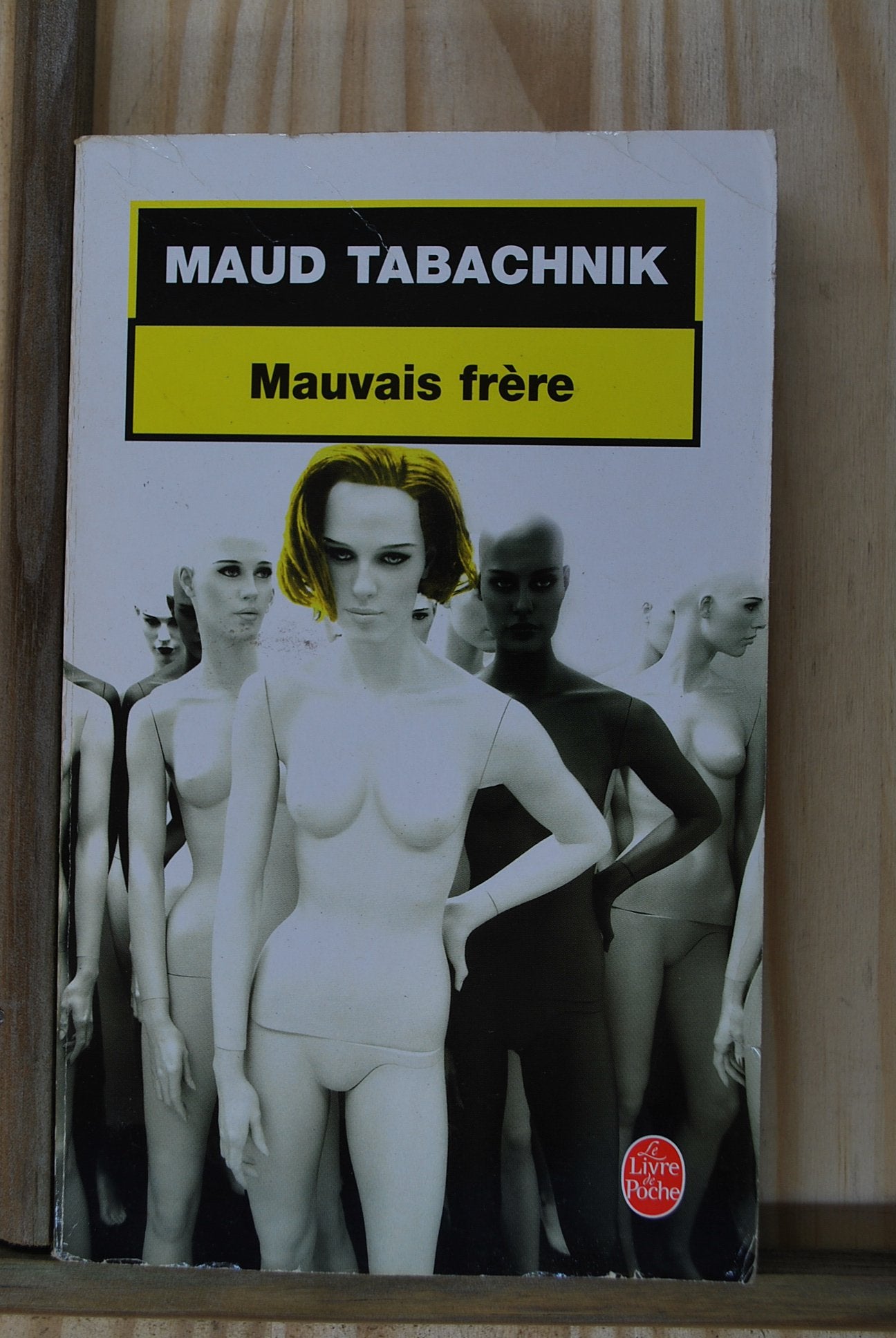 Mauvais Frère 9782253090649