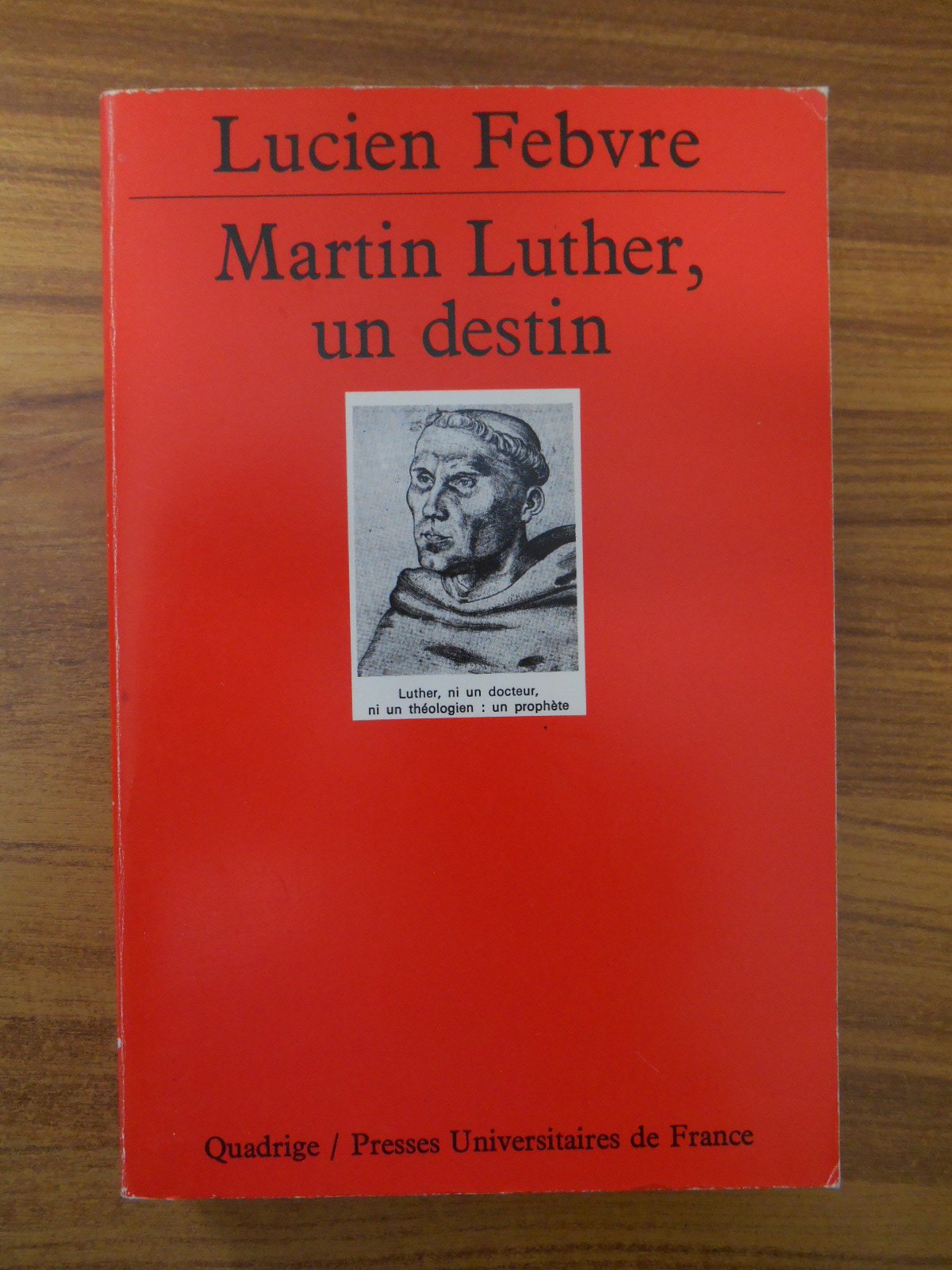 Martin Luther : Un destin 9782130418795