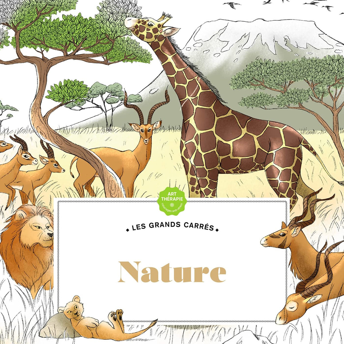 Les carrés d'Art-thérapie Nature 9782019466091