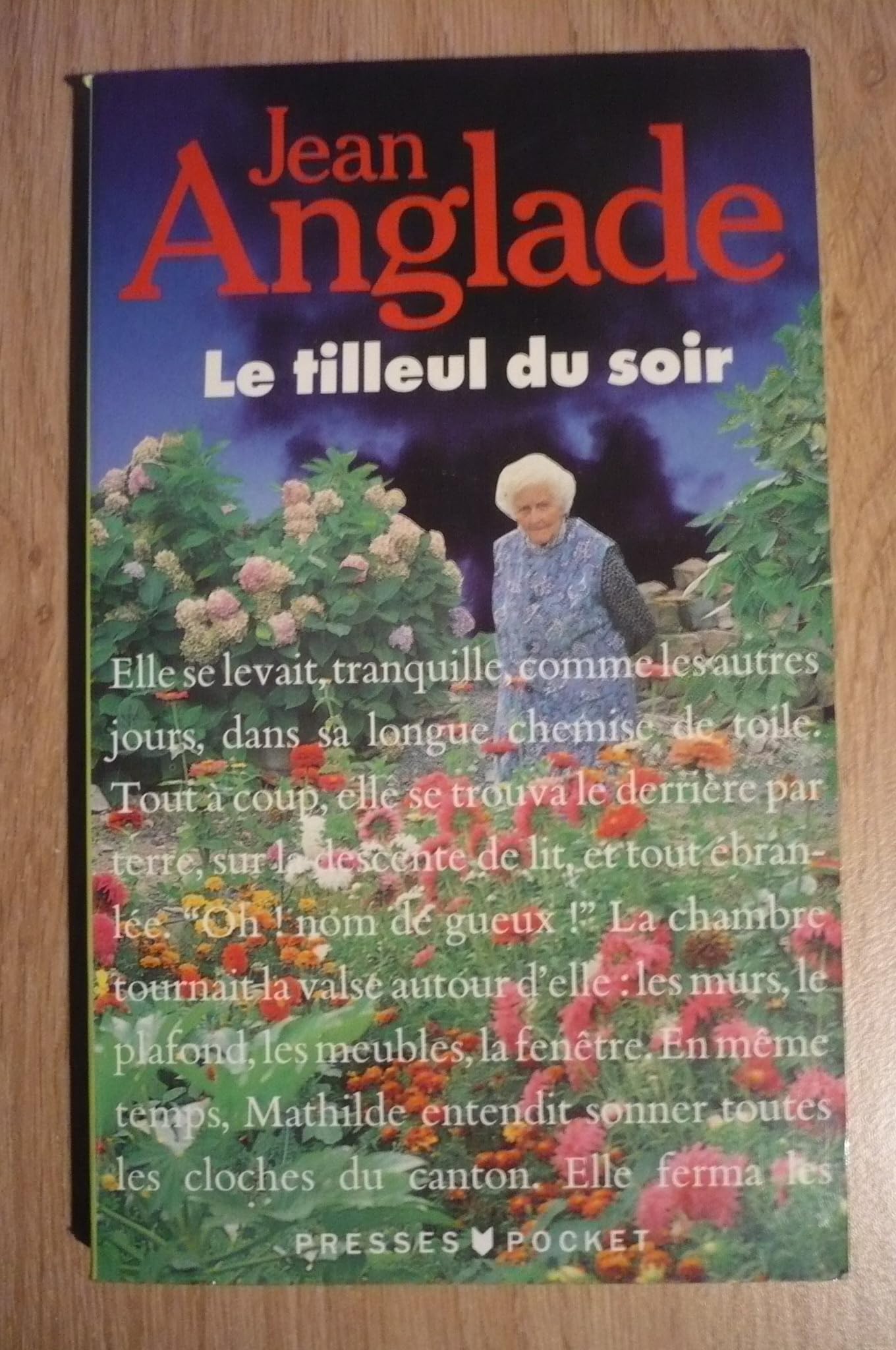 Le Tilleul du soir 9782266029070