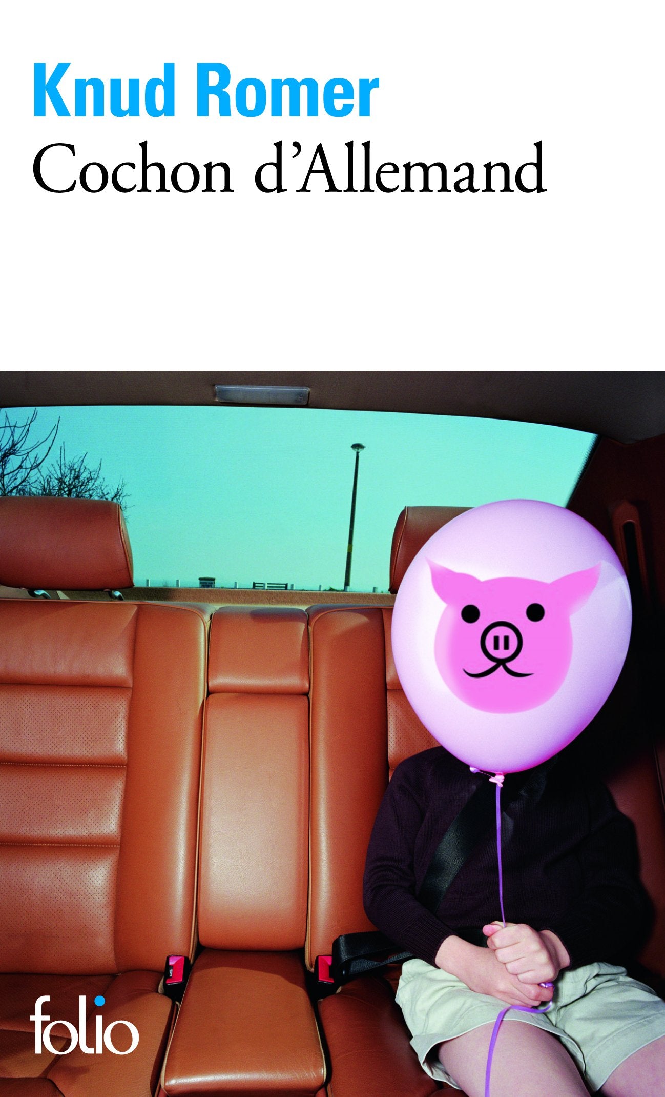 Cochon d'Allemand 9782070358076