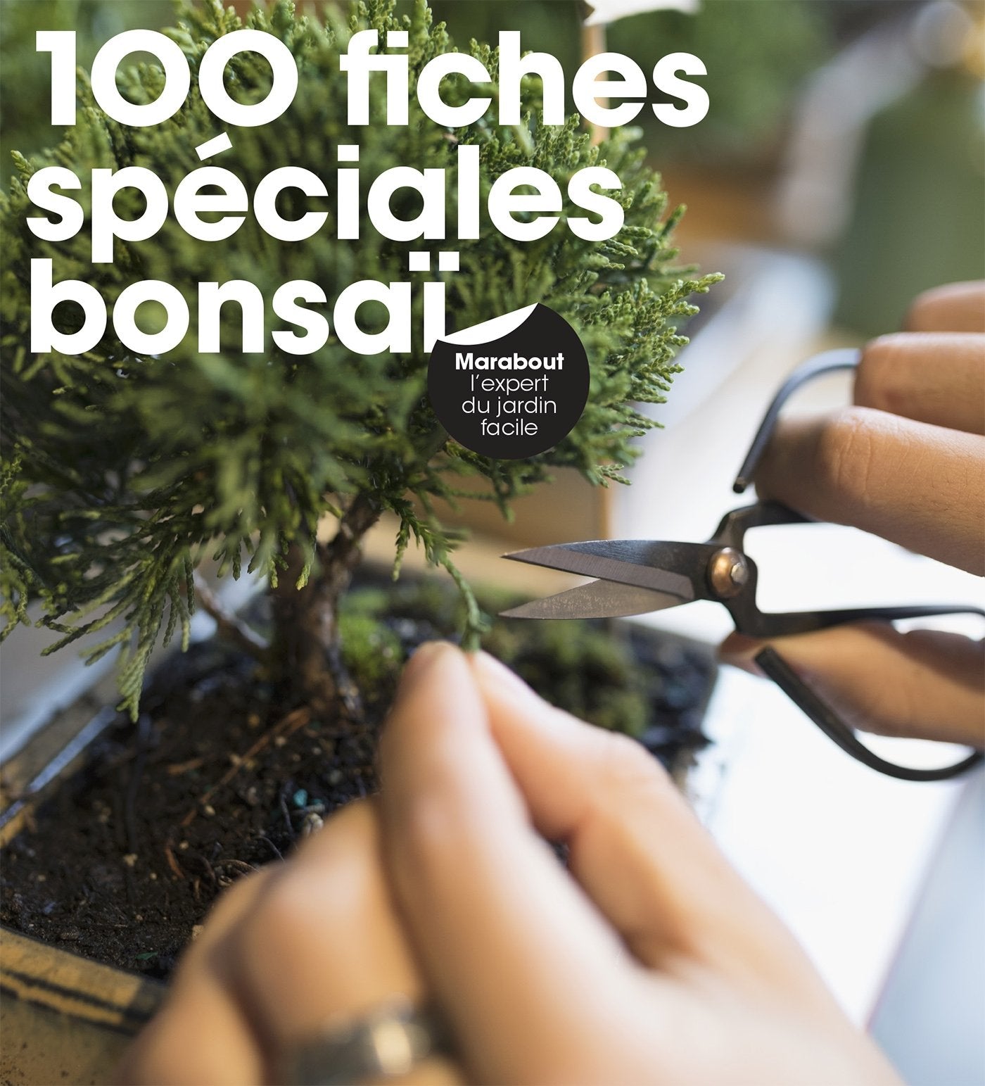 100 fiches spéciales Bonzaïs 9782501130233