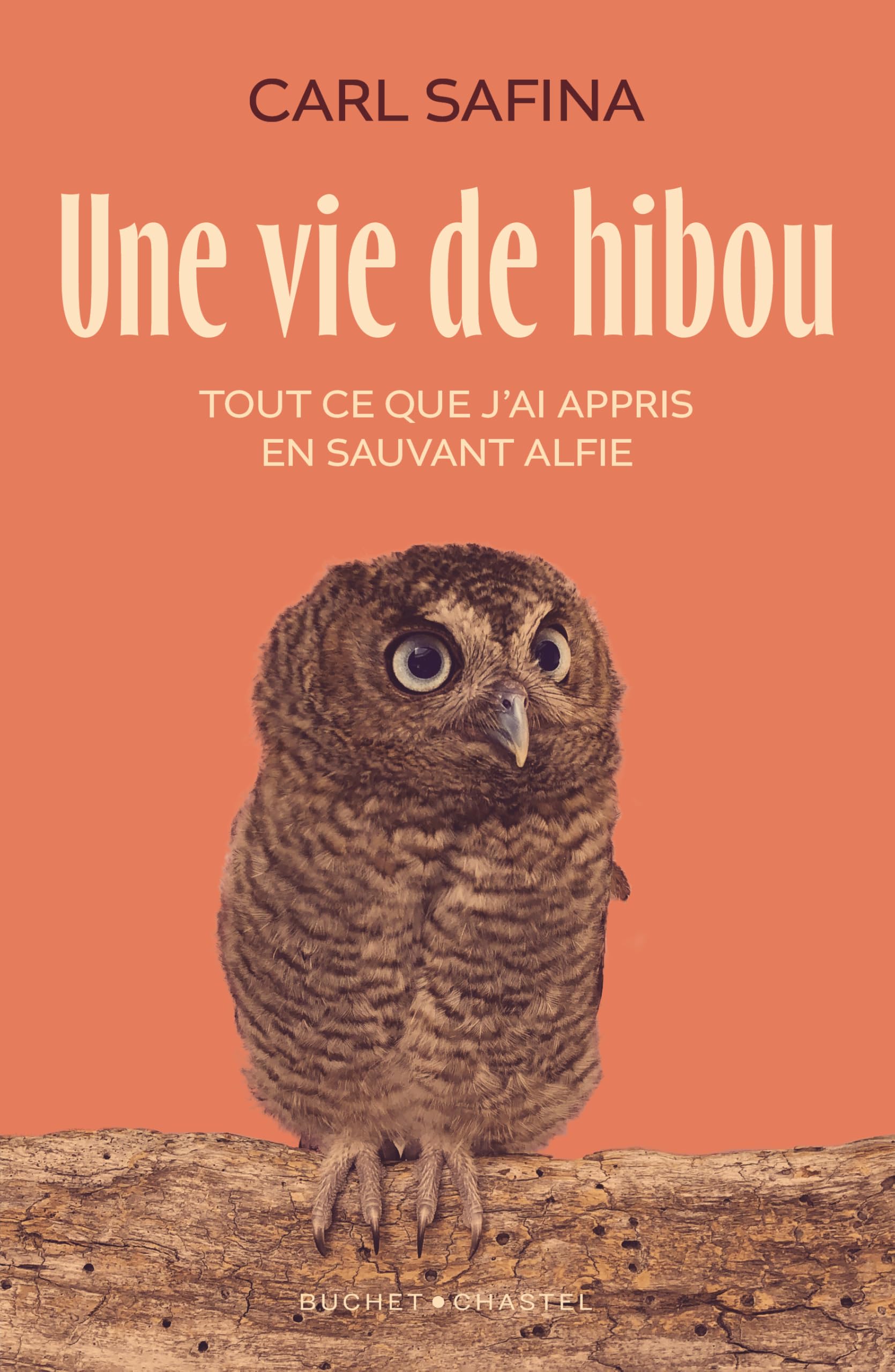 Une vie de hibou: Tout ce que j'ai appris en sauvant Alfie 9782283039779