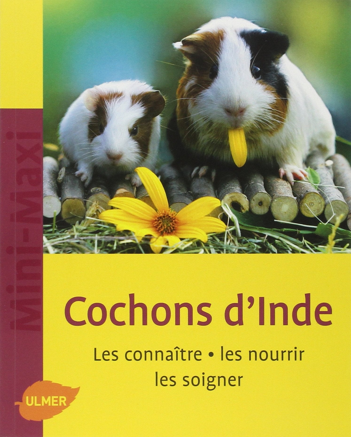 Cochons d'Inde. Les connaître, les nourrir, les soigner (NE) 9782841383733