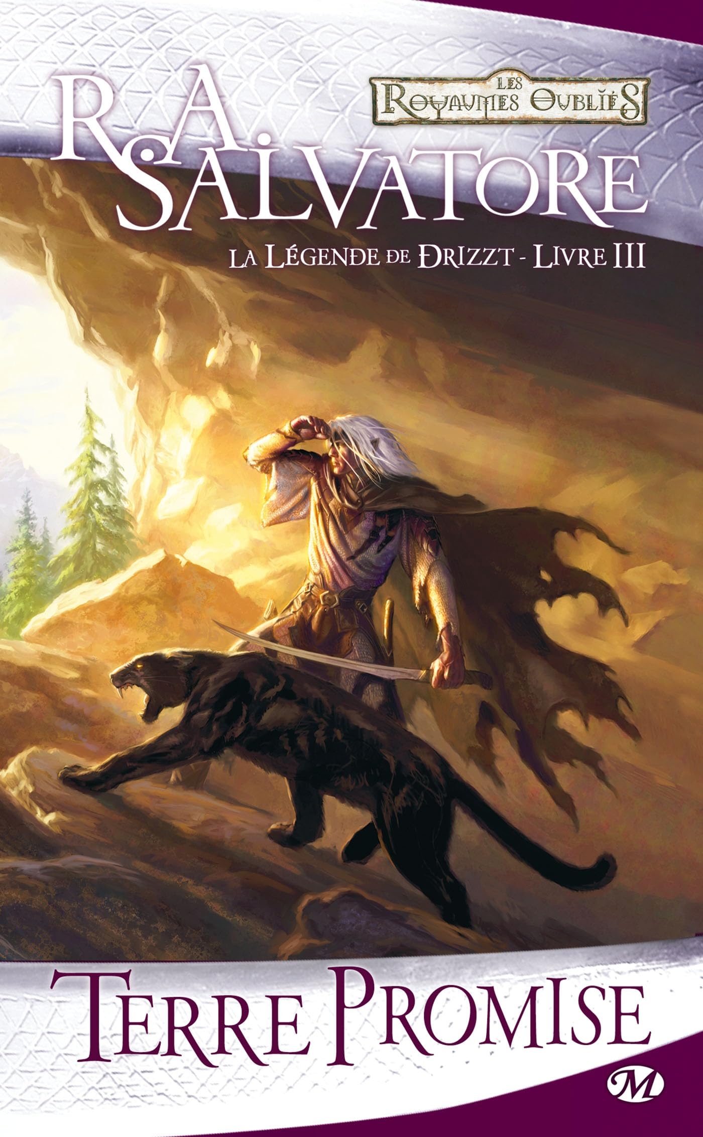 La Légende de Drizzt, Tome 3: Terre promise 9782811201920