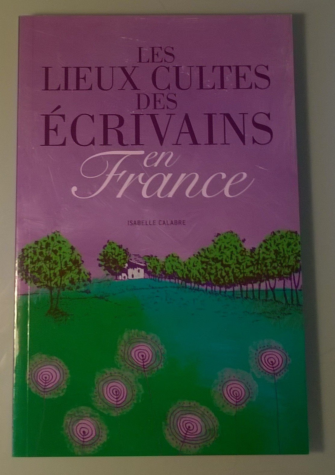 Les lieux cultes des ecrivains en france 9782286040123