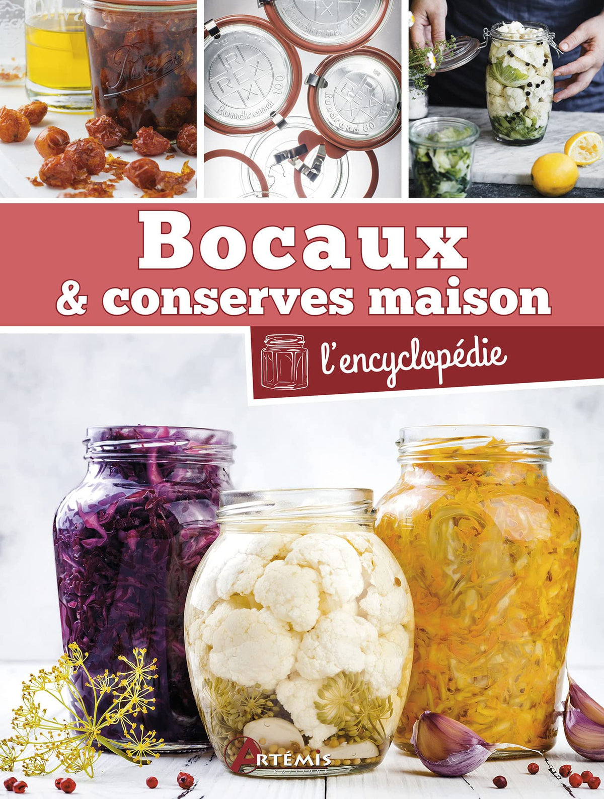 Bocaux & conserves maison: L'encyclopédie 9782816013757