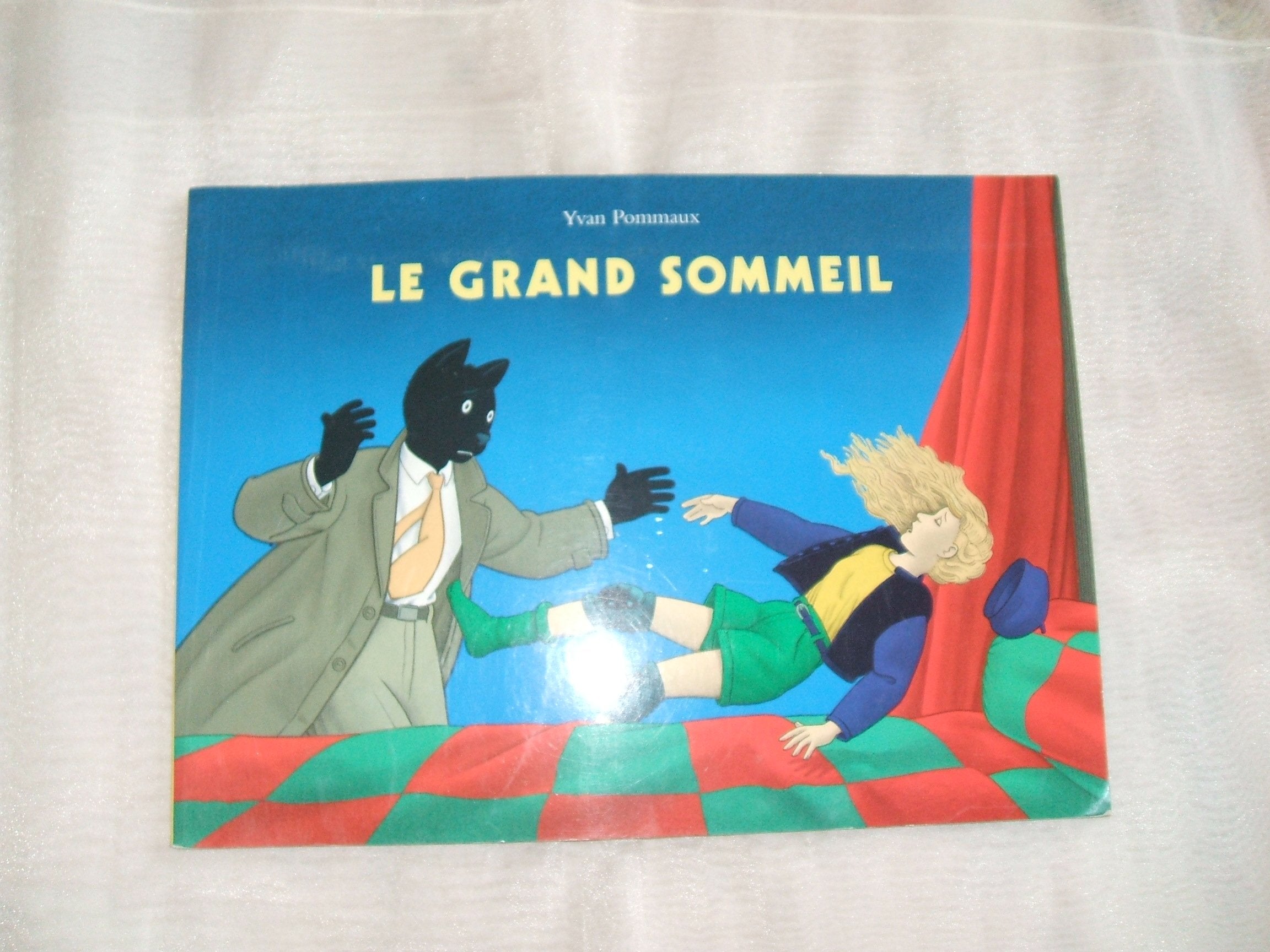 Le grand sommeil 9782211076296